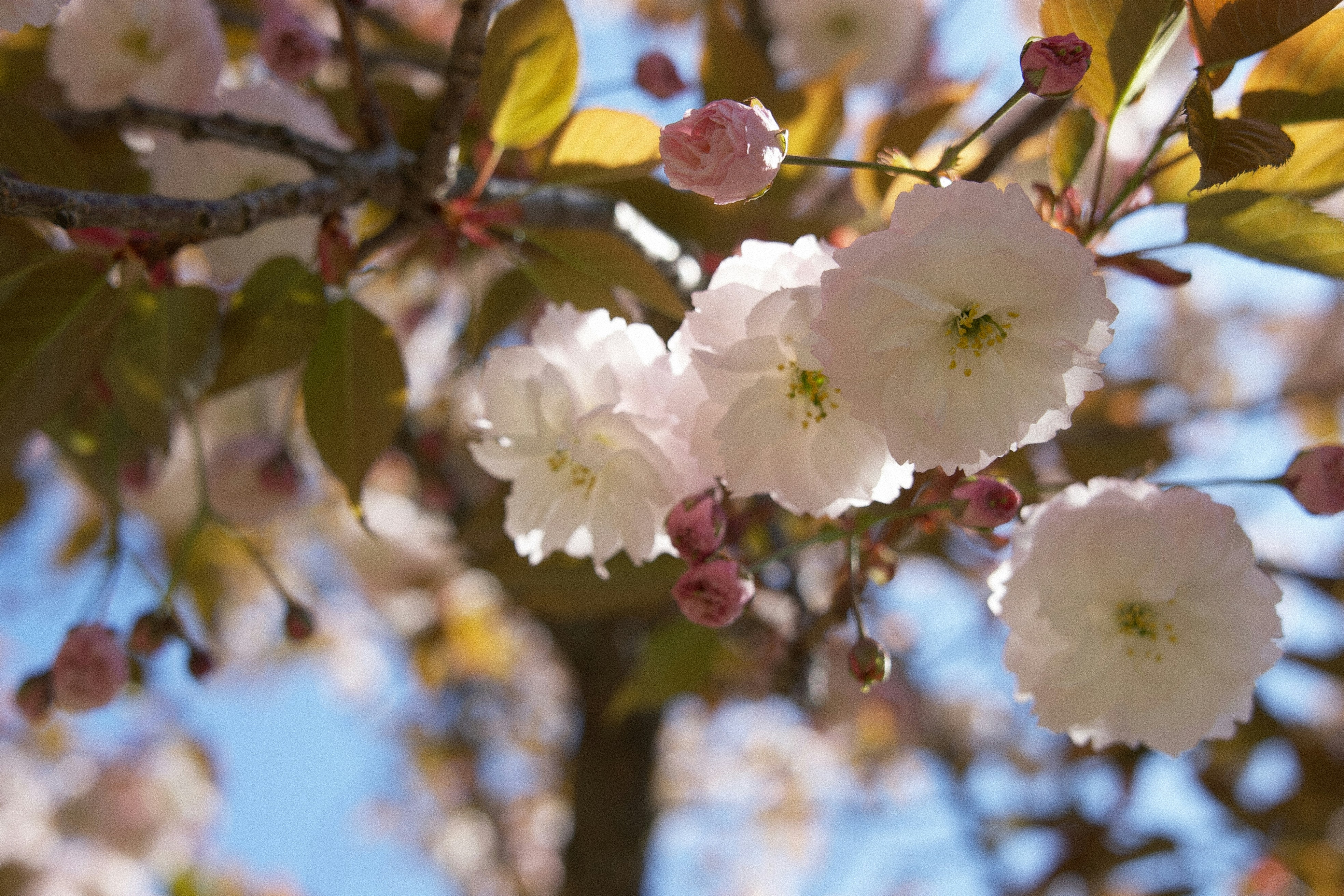 Photo by ycbrphotography