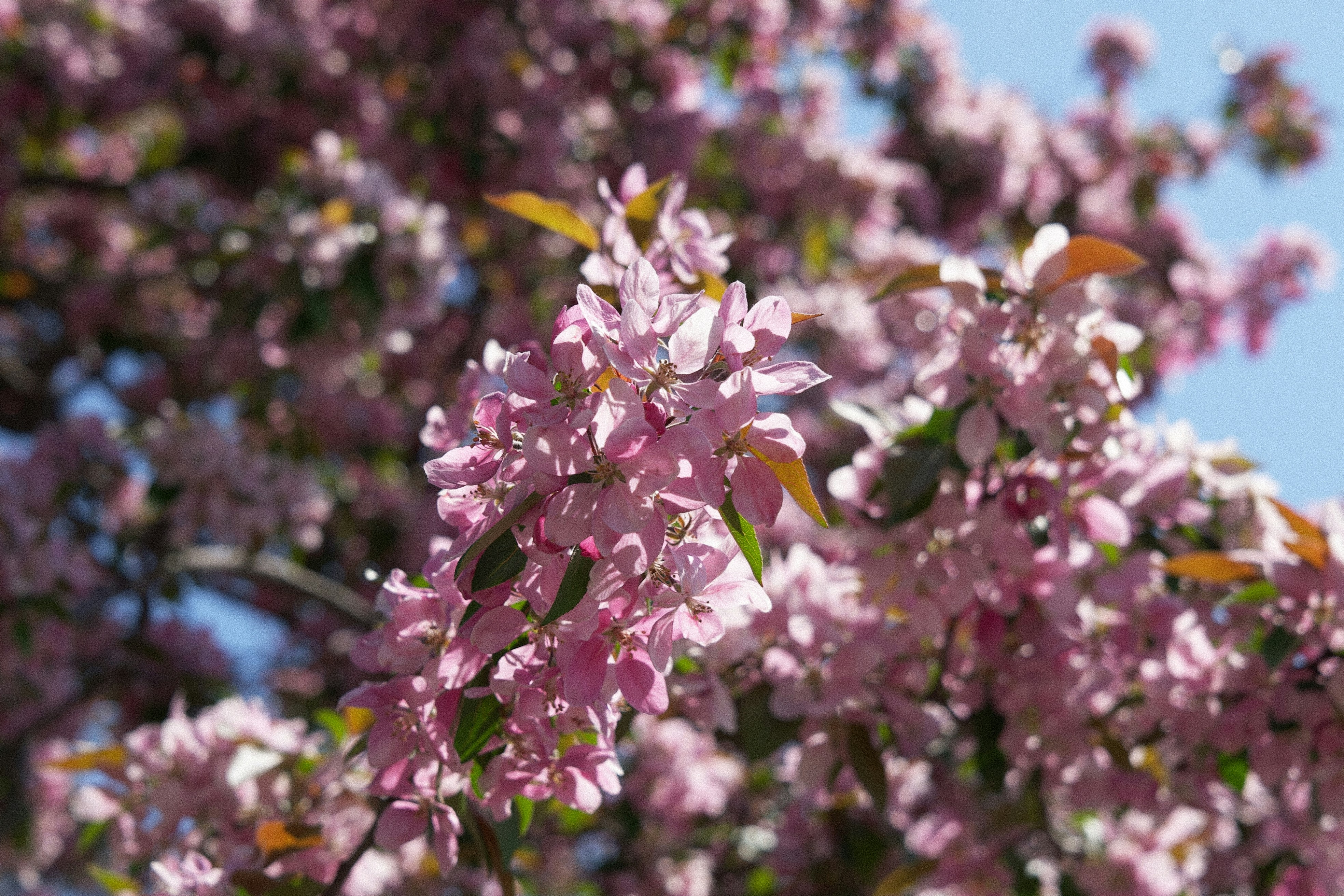 Photo by ycbrphotography