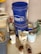 A cluttered garage corner with two stacked blue Lowe's buckets, a worn pair of shoes on the floor, several paint cans with paintbrushes resting on top, and various tools and containers organized on shelves. There is a roll of paper towels and some garden equipment visible.