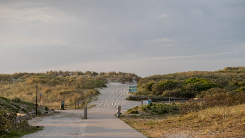 a paved road in the middle of a grassy area