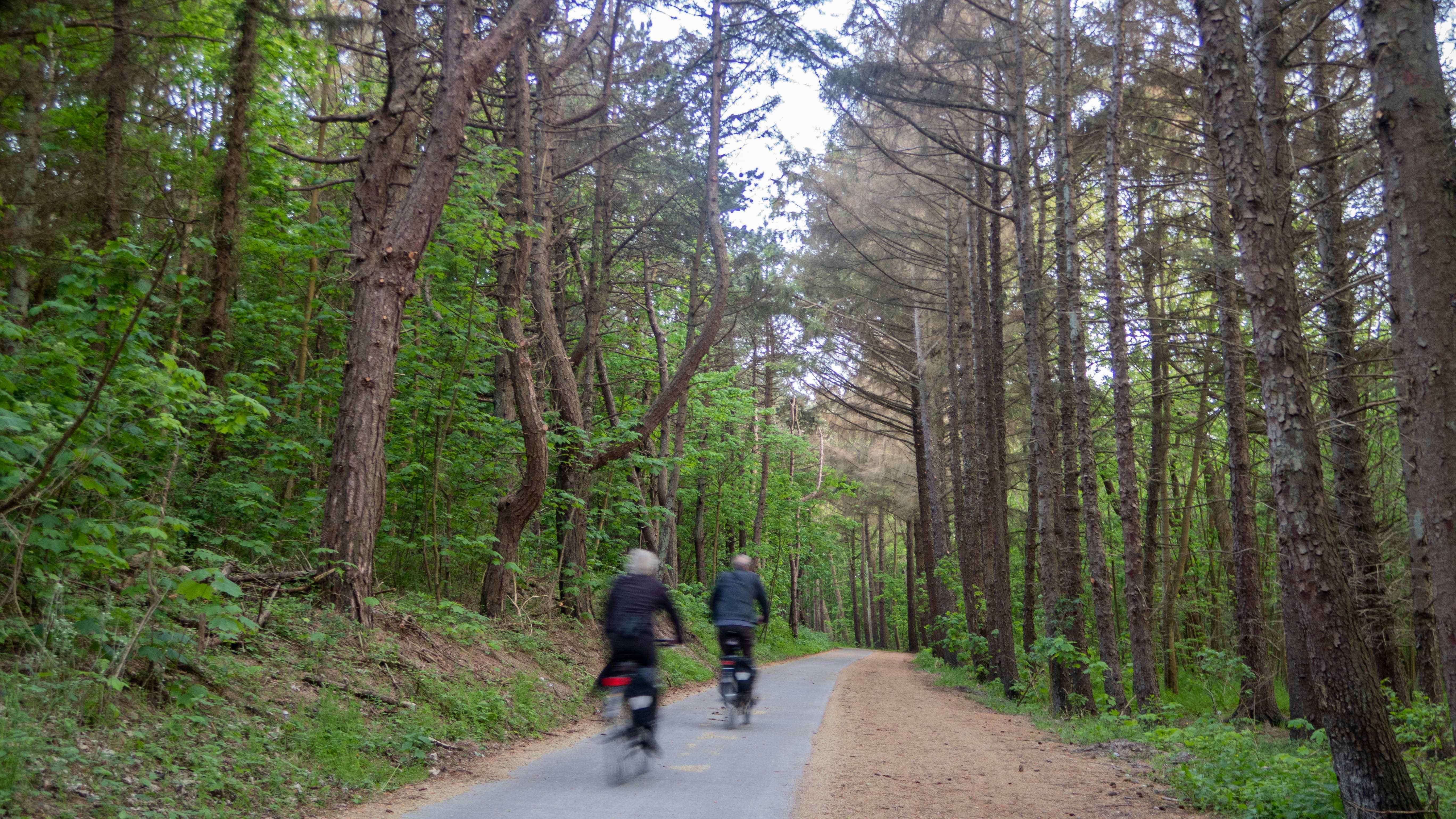 a couple of people riding bikes down a road
