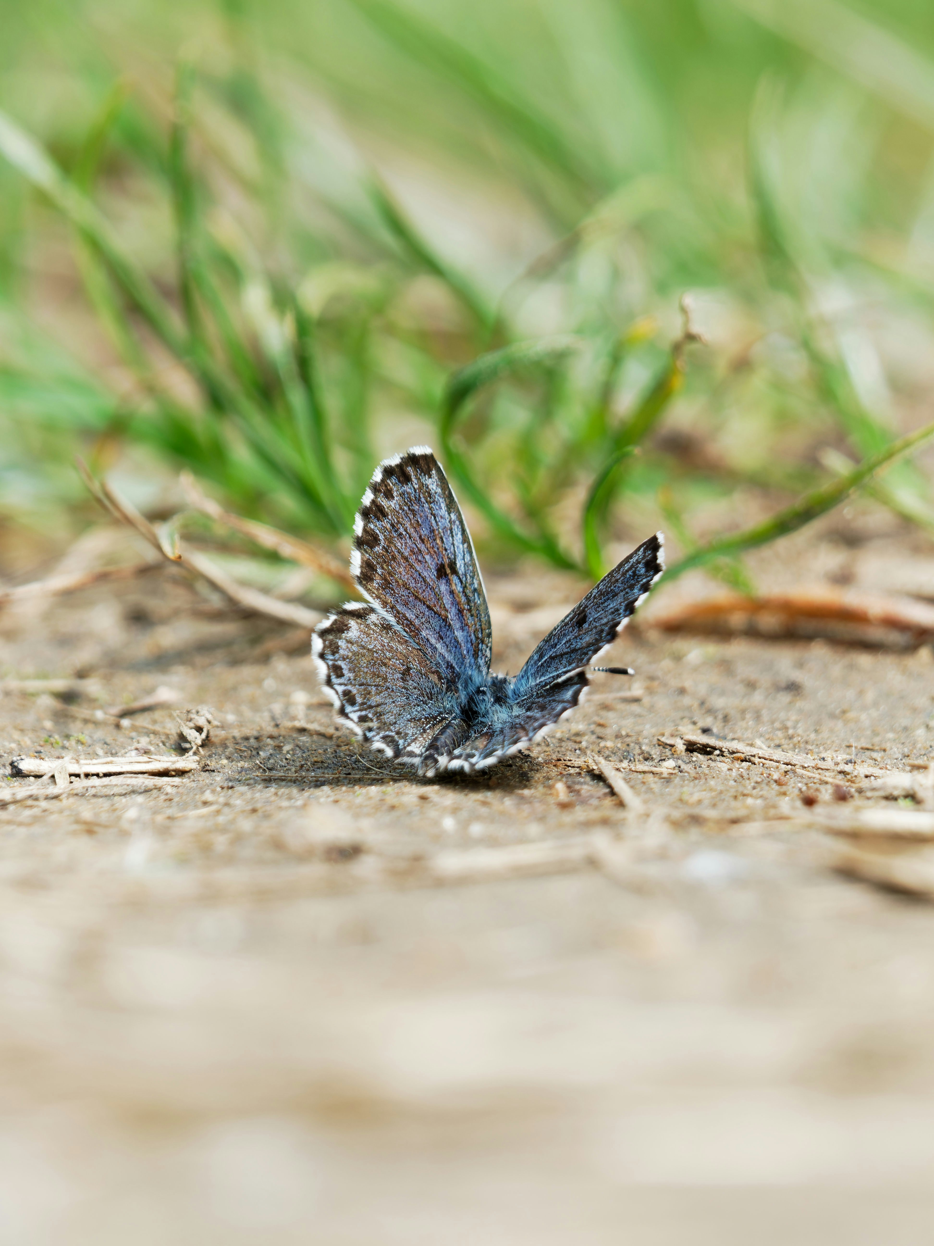 Photo by illes_cristi