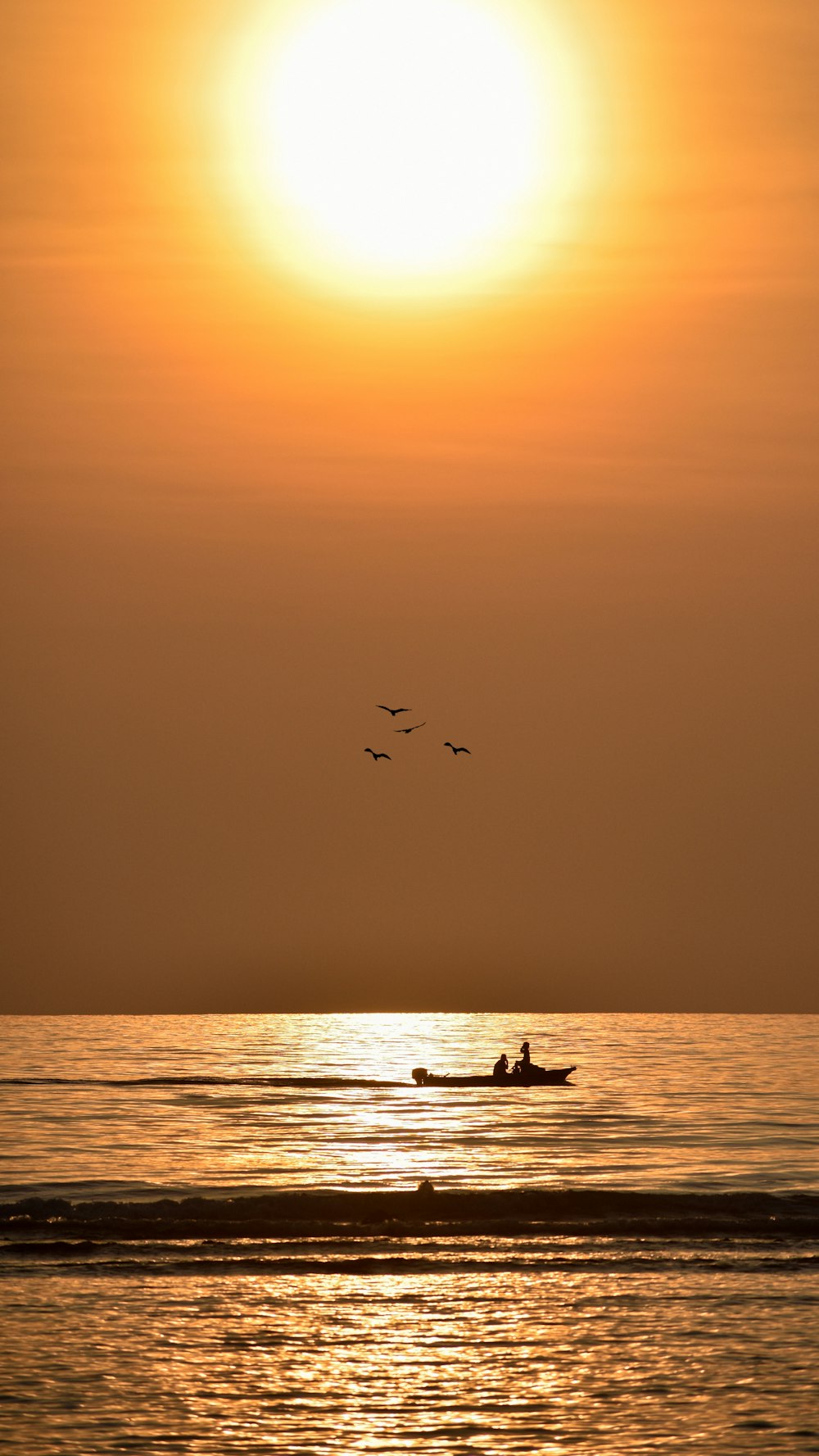 a couple of birds flying over a body of water