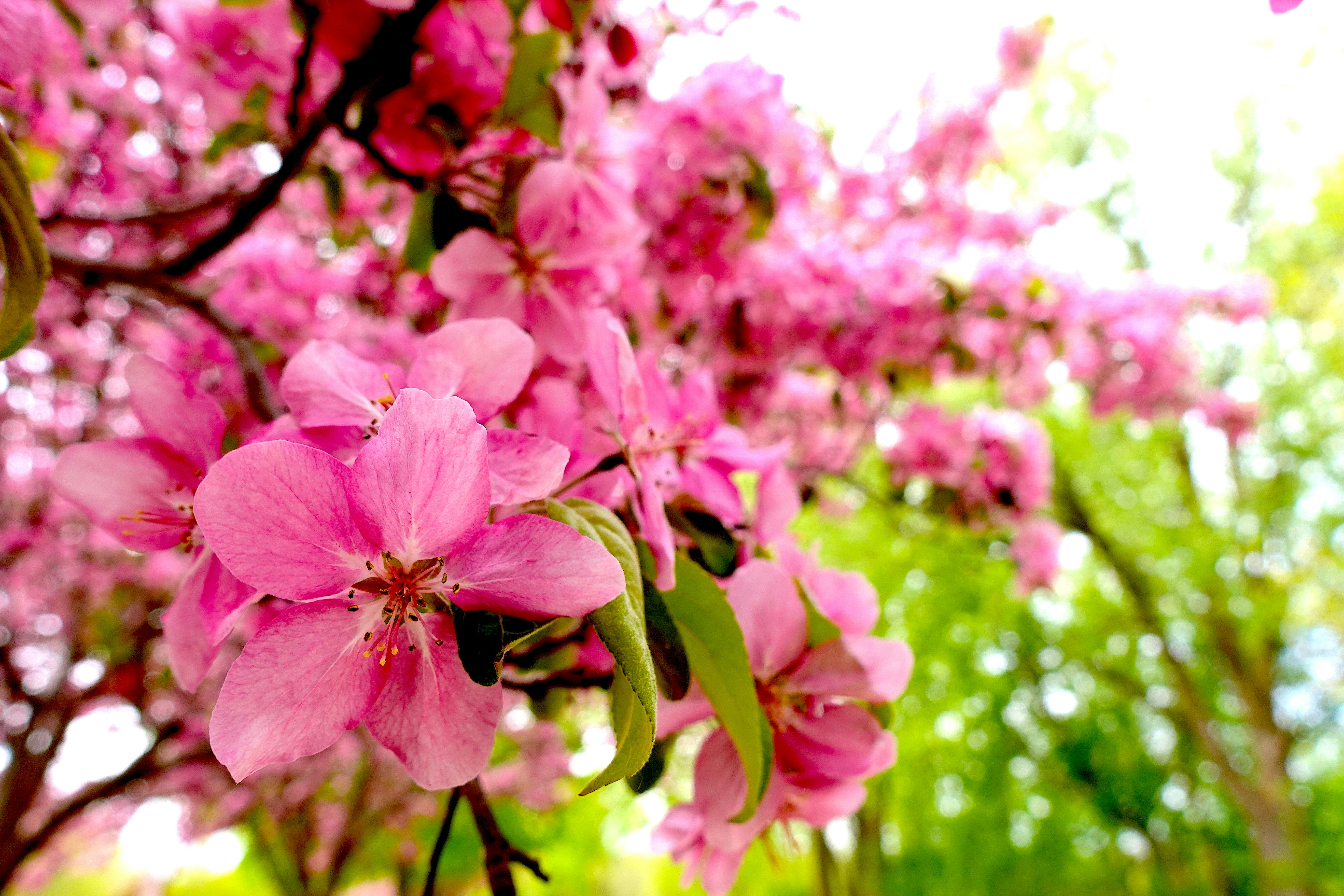 Photo by autumntomich