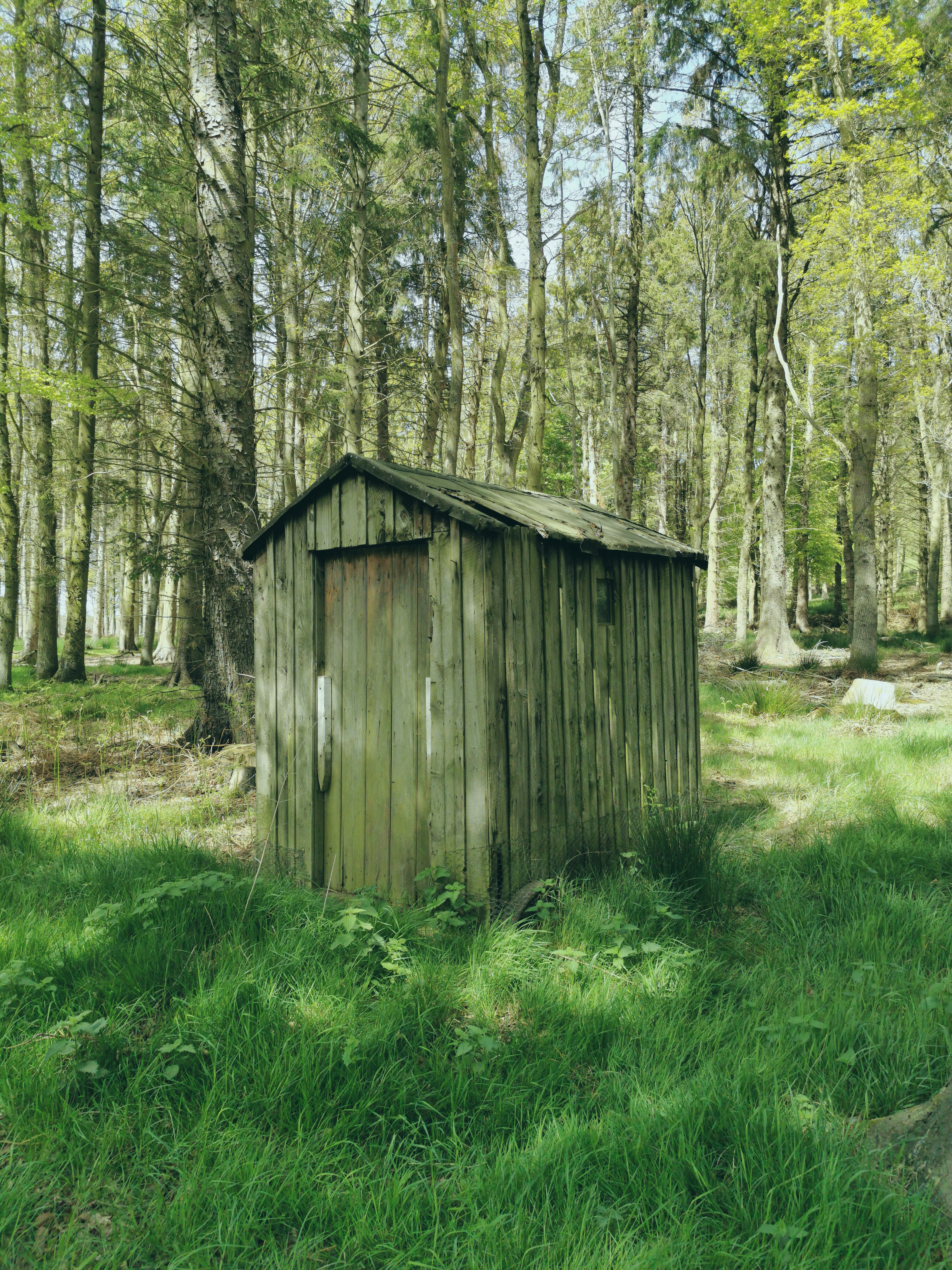 Photo by dloftusphoto