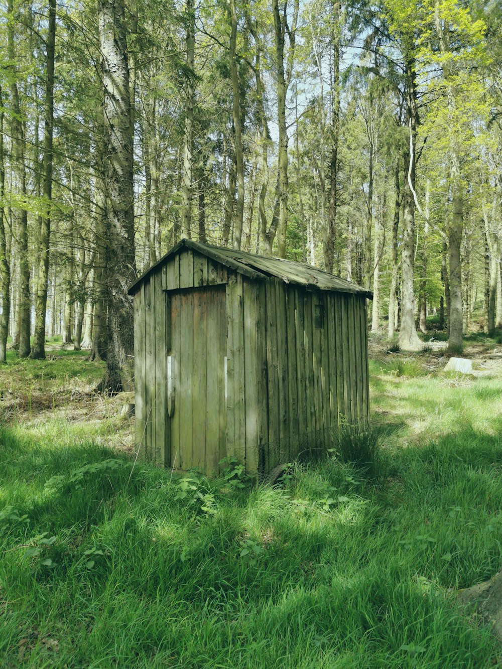 Una dependance nel mezzo di una foresta