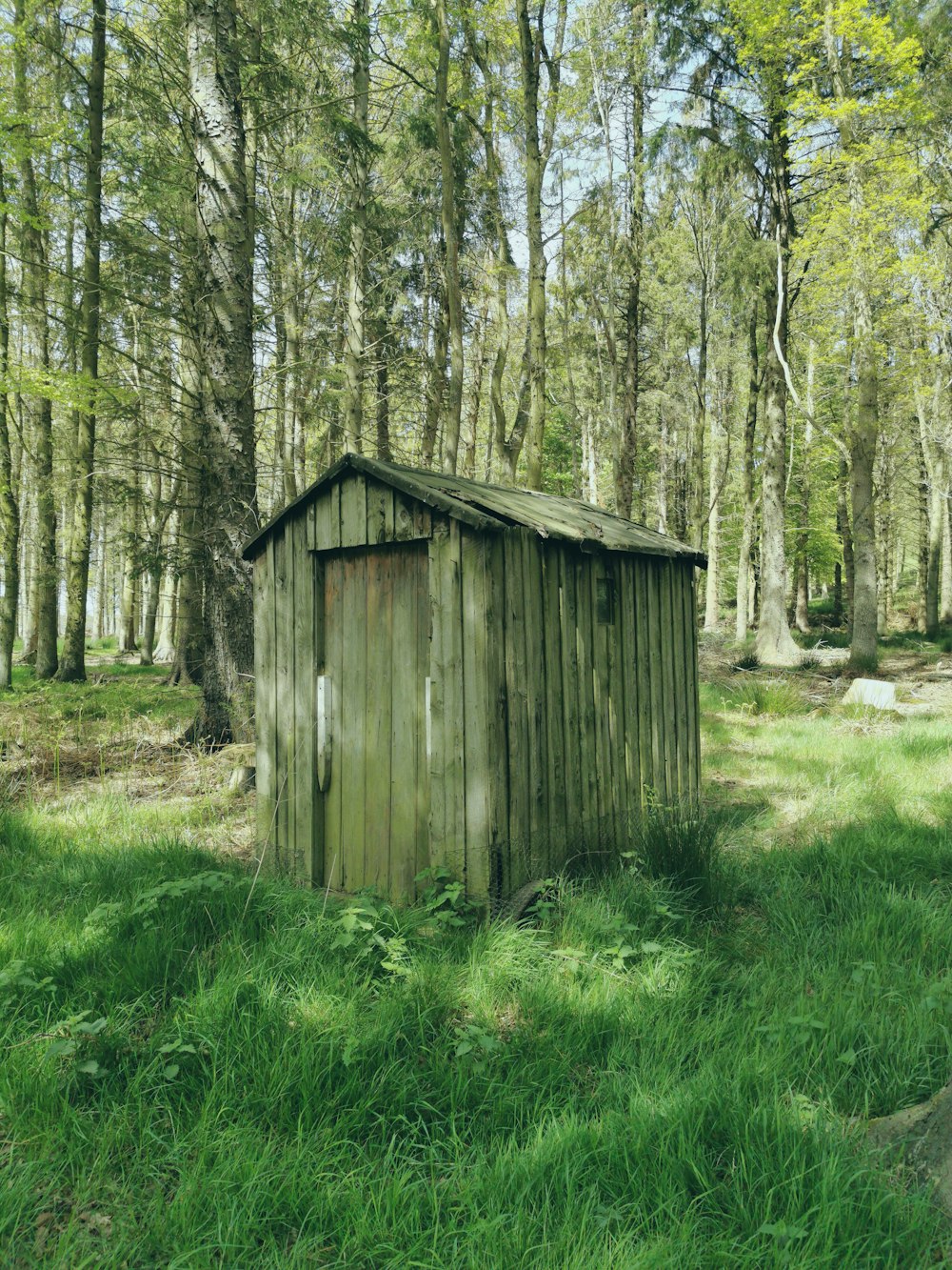 a outhouse in the middle of a forest