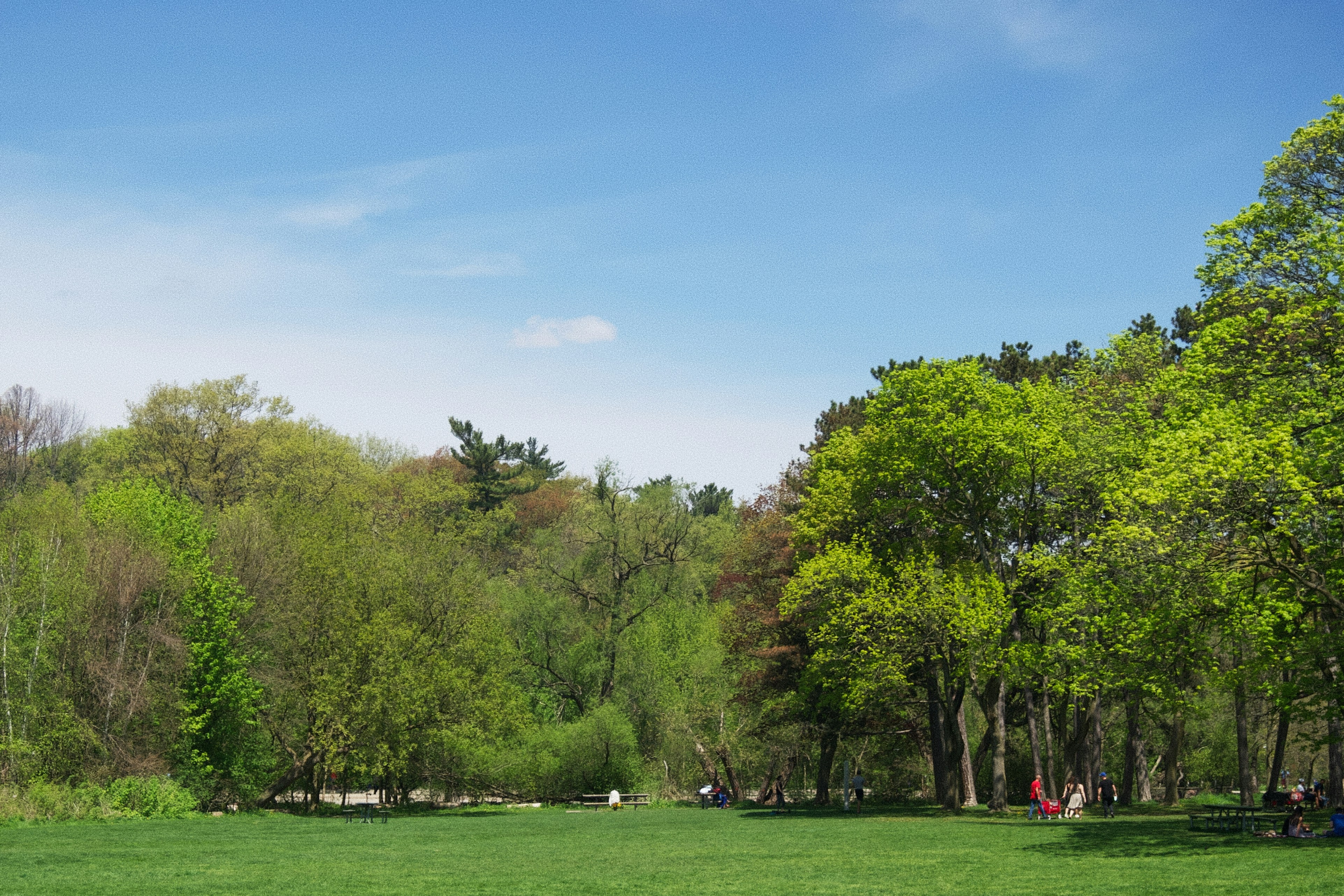 Photo by ycbrphotography