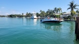 A serene coastal scene featuring a luxury motorboat carrying several people enjoying the sun. The boat is situated near lush green palm trees and a white, elegant waterfront house. Another yacht is visible in the background, docked near the shore.