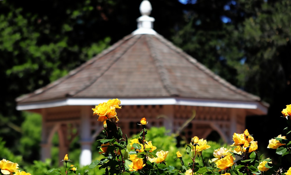 a gazebo with yellow flowers in the foreground