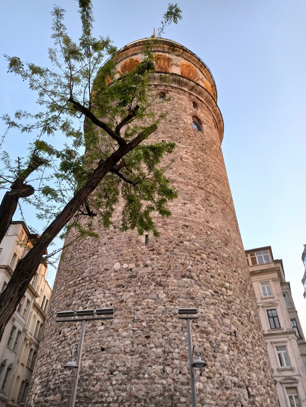 a tall brick tower with a tree growing out of it