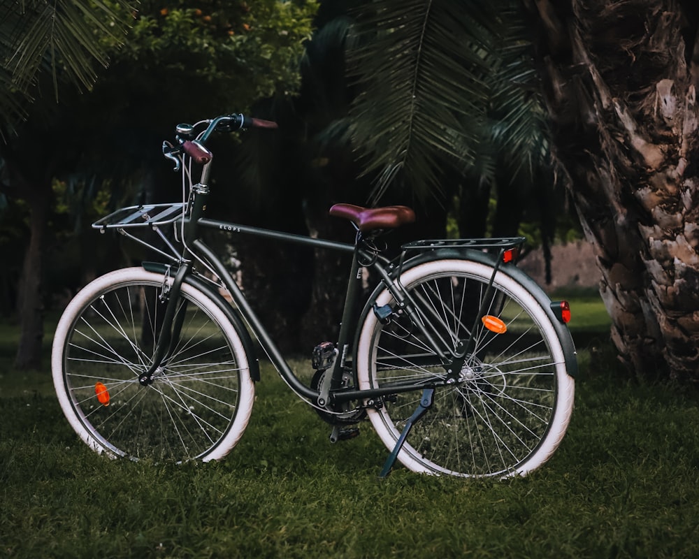 a bicycle parked next to a palm tree