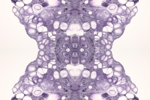 Photo 1652652128622 6d24fe5739bb?q=85&w=300&h=400&fit=crop