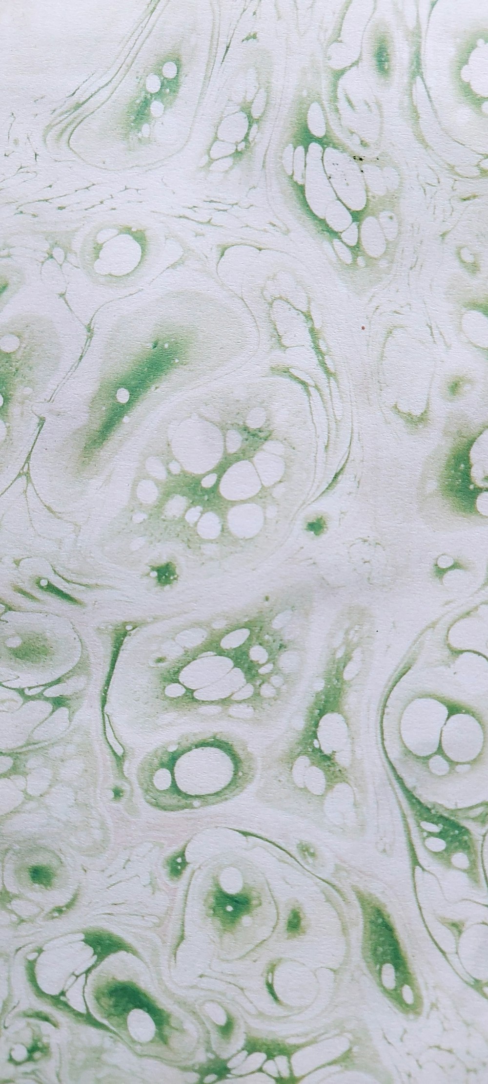 a close up of a green and white substance