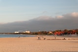 Drone view of a group of tourists walking along the sandy shore of Cabo Frio