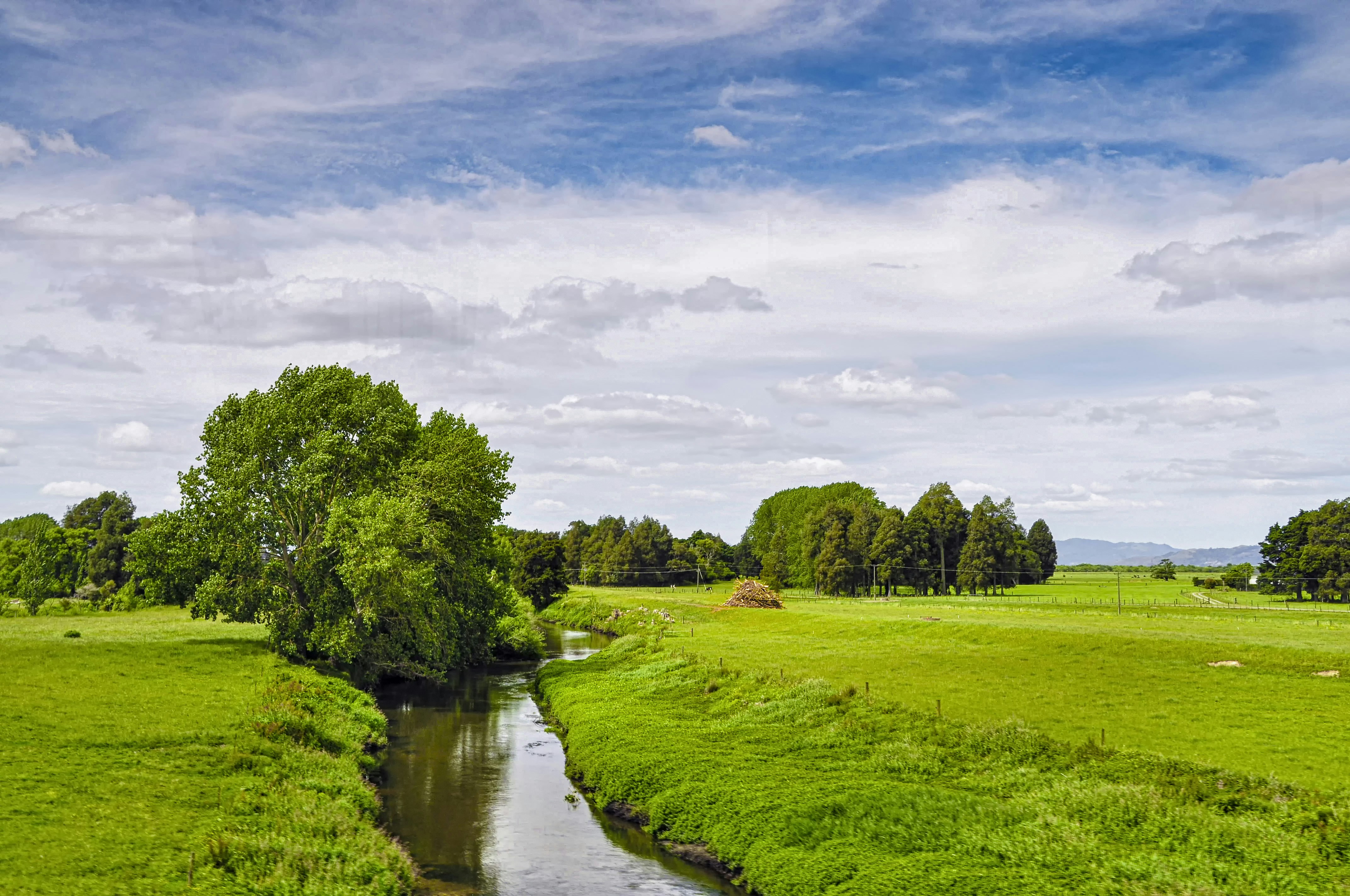 Photo by longmaspirit