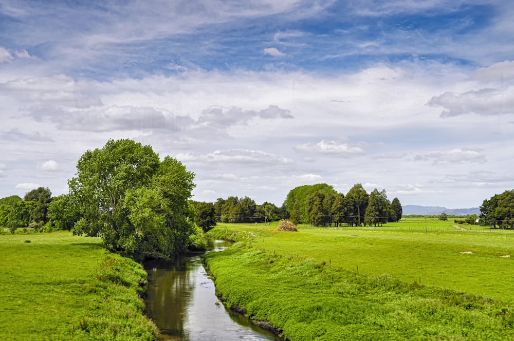 a river running through a lush green field