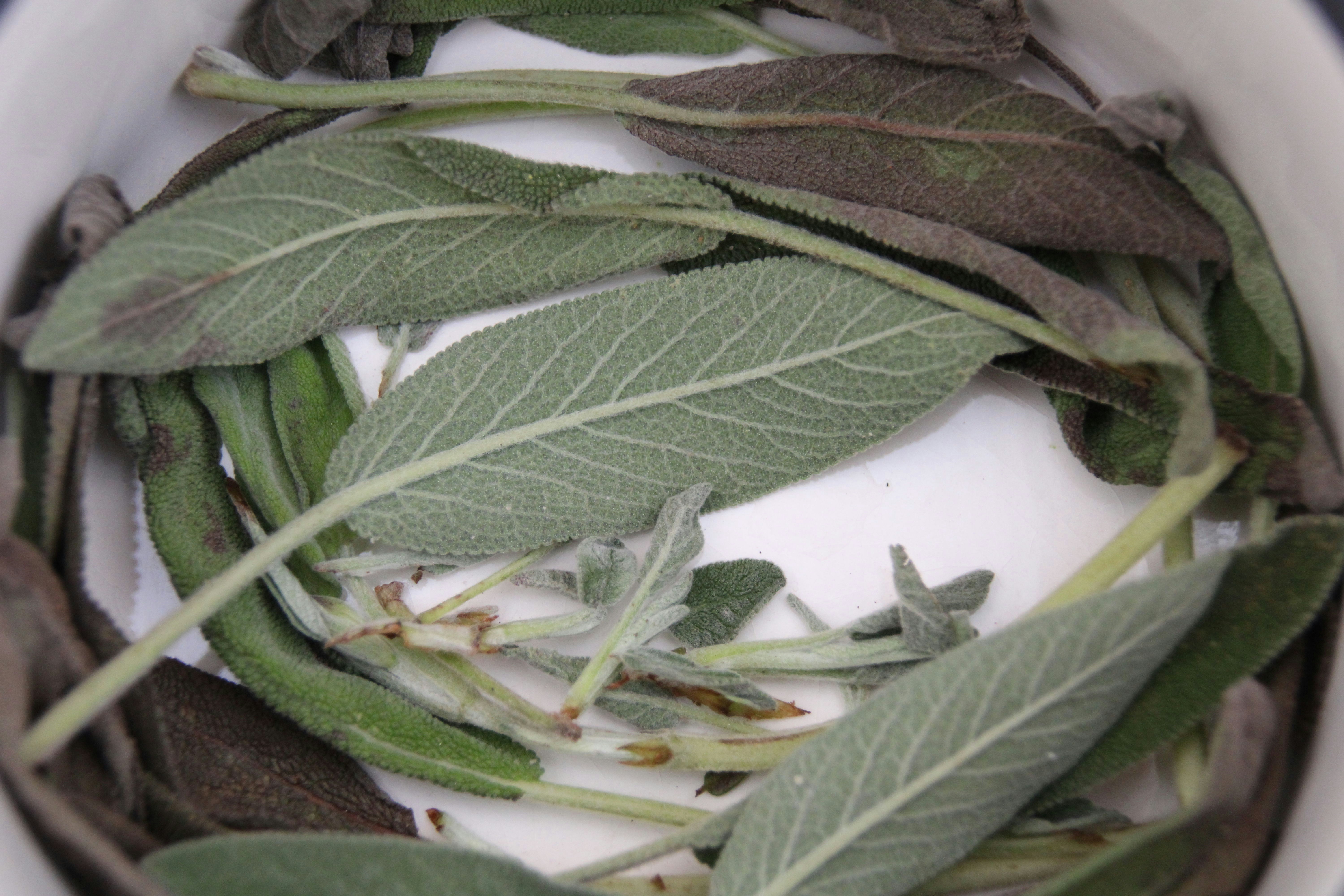 Photo by matt_alazia