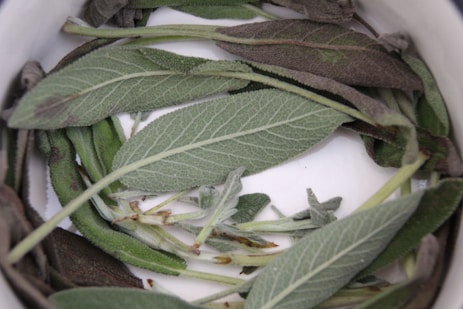 a white bowl filled with green leaves on top of a table