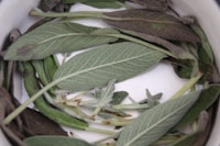 Sage