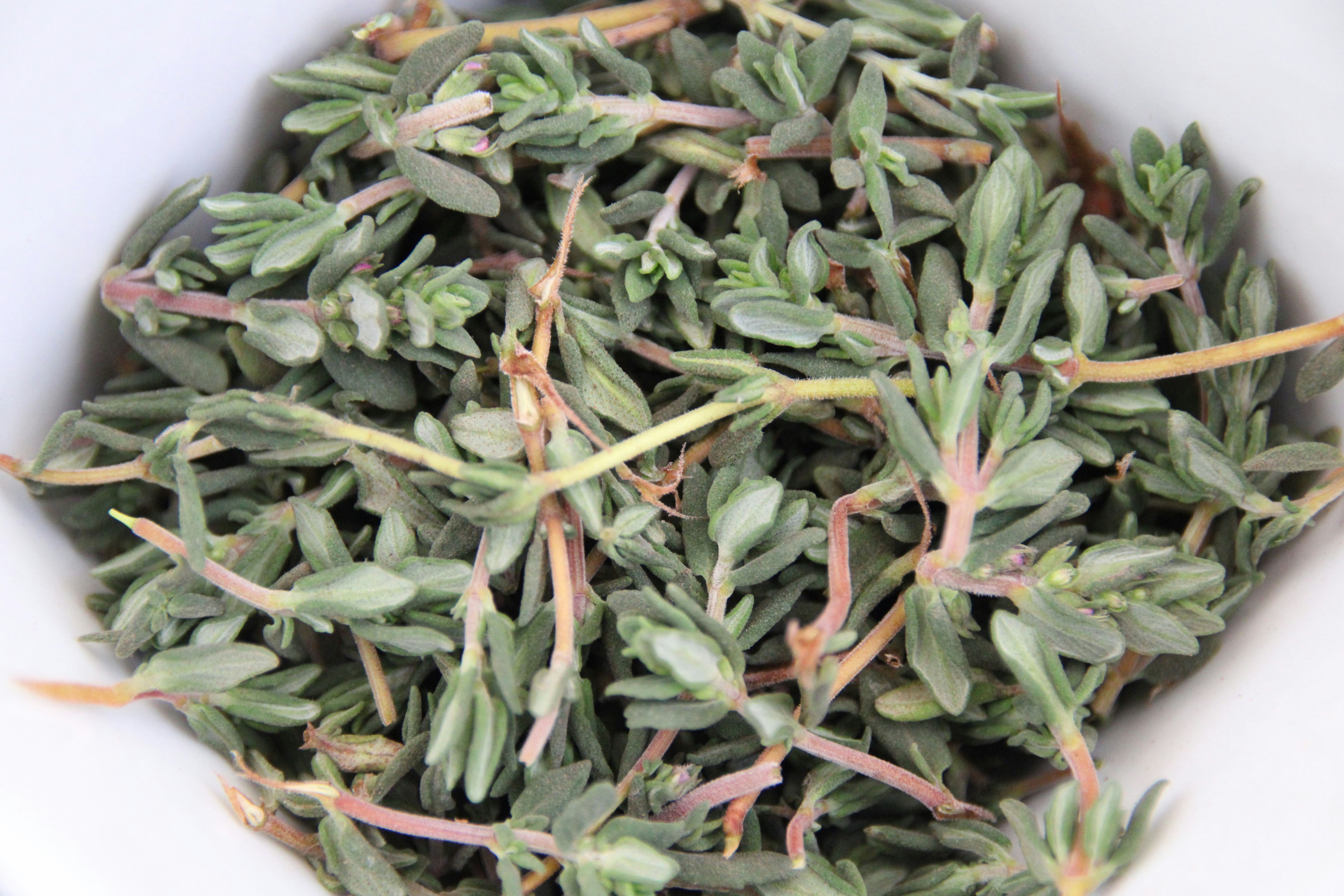 Photo by matt_alazia