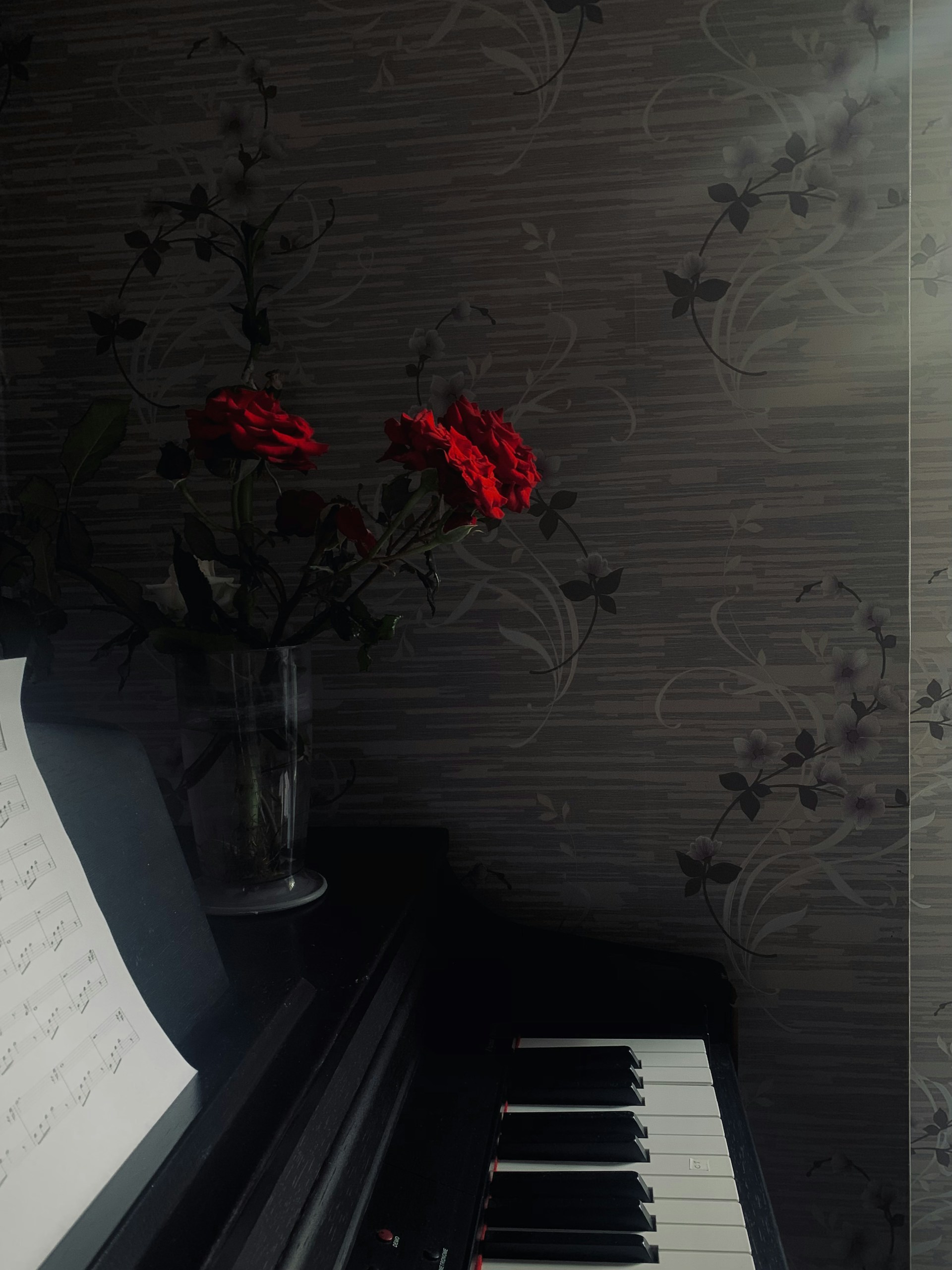 woman wearing yellow long-sleeved dress under white clouds and blue sky during daytime