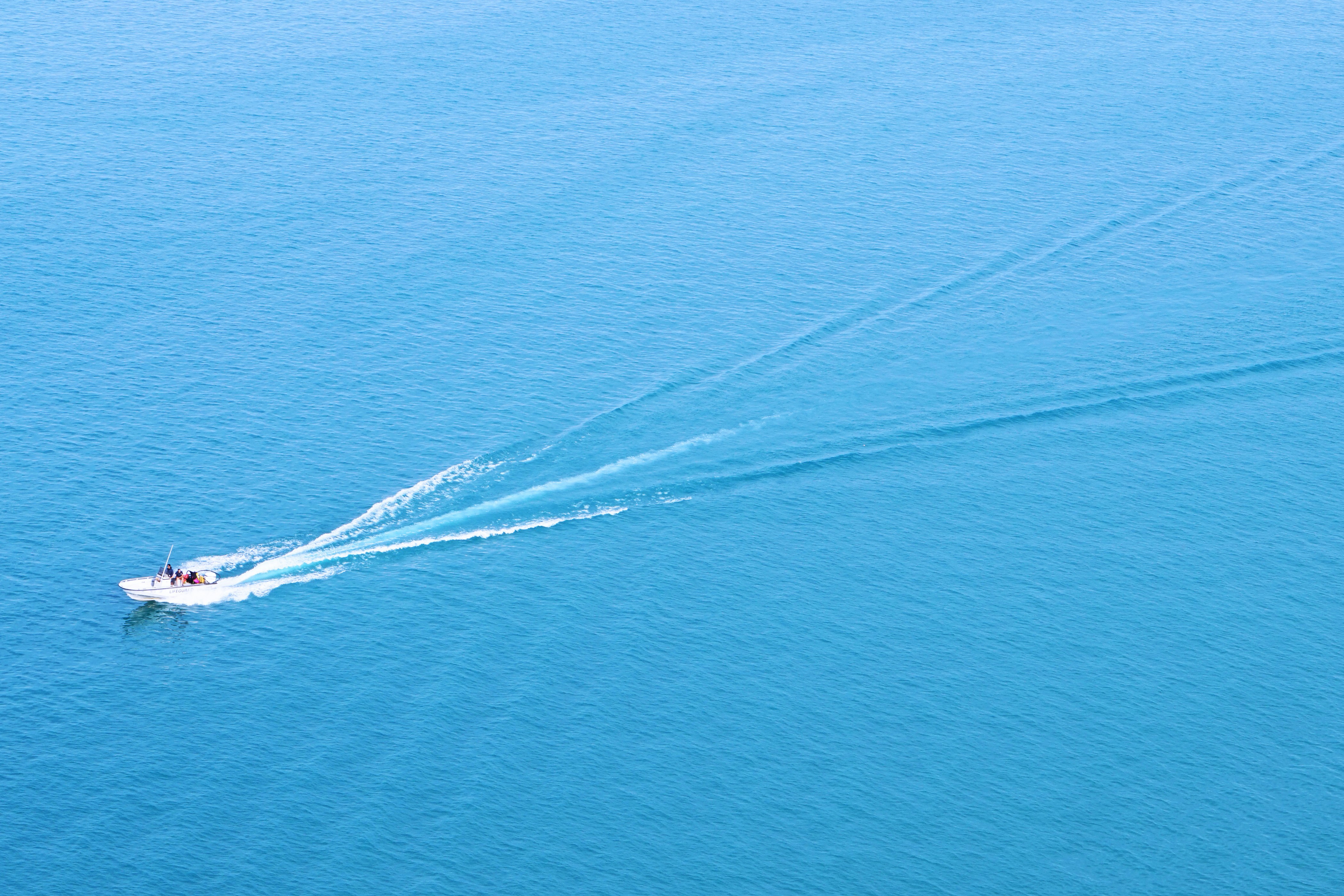 Edgewater Gardens A Tranquil Oasis by the Waterfront