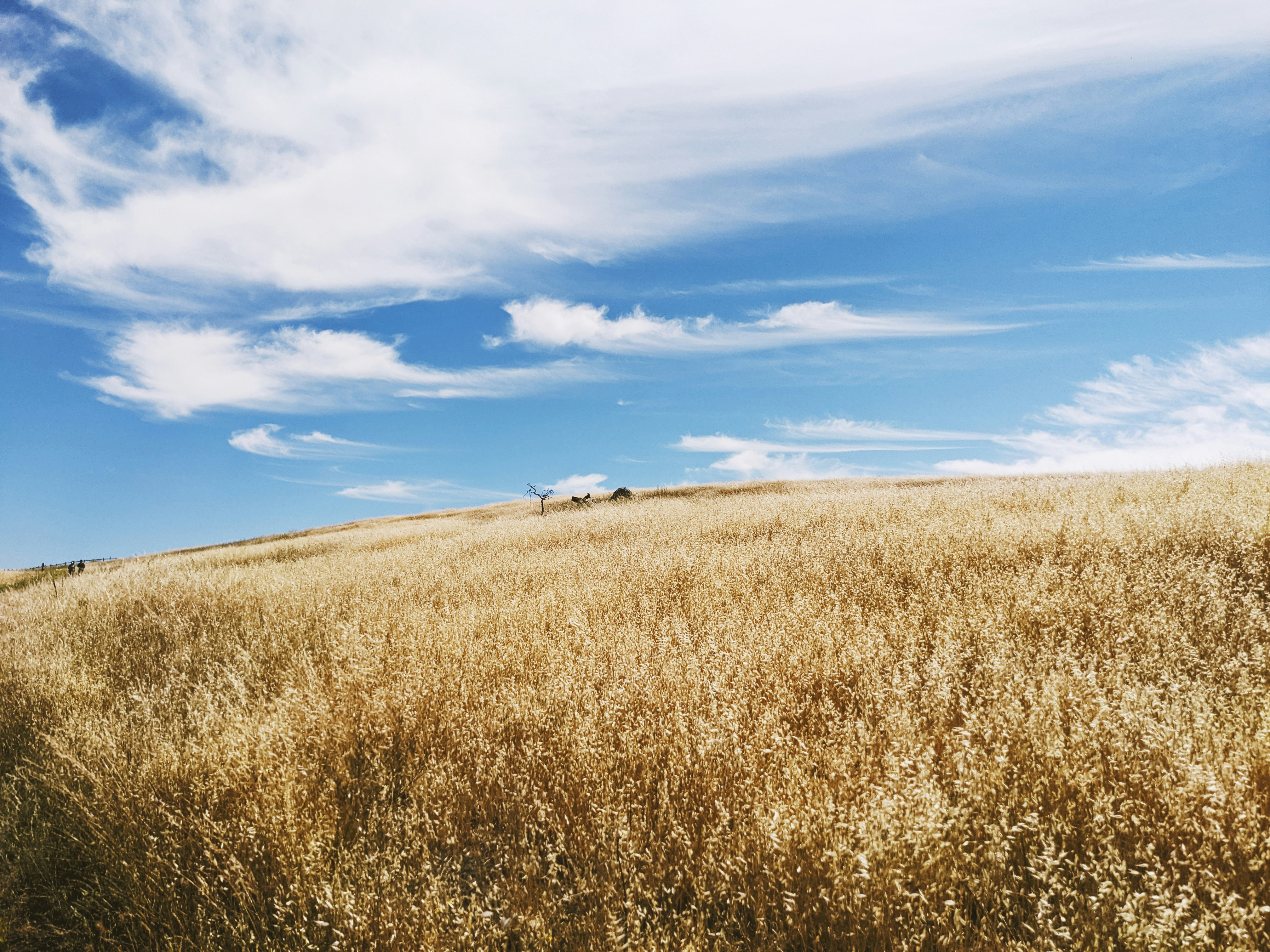 Photo by carbonscott