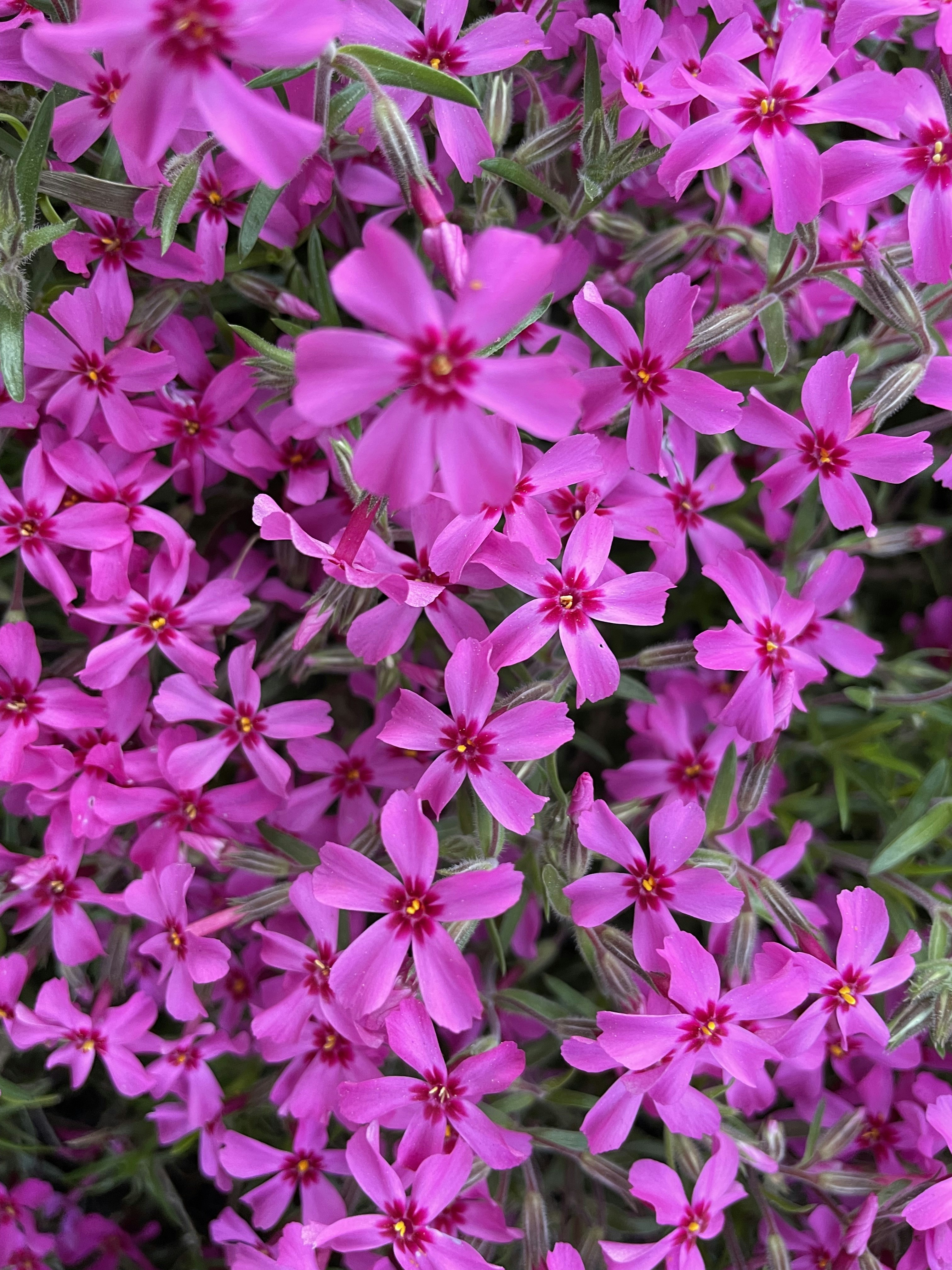 Photo by anywherecreative