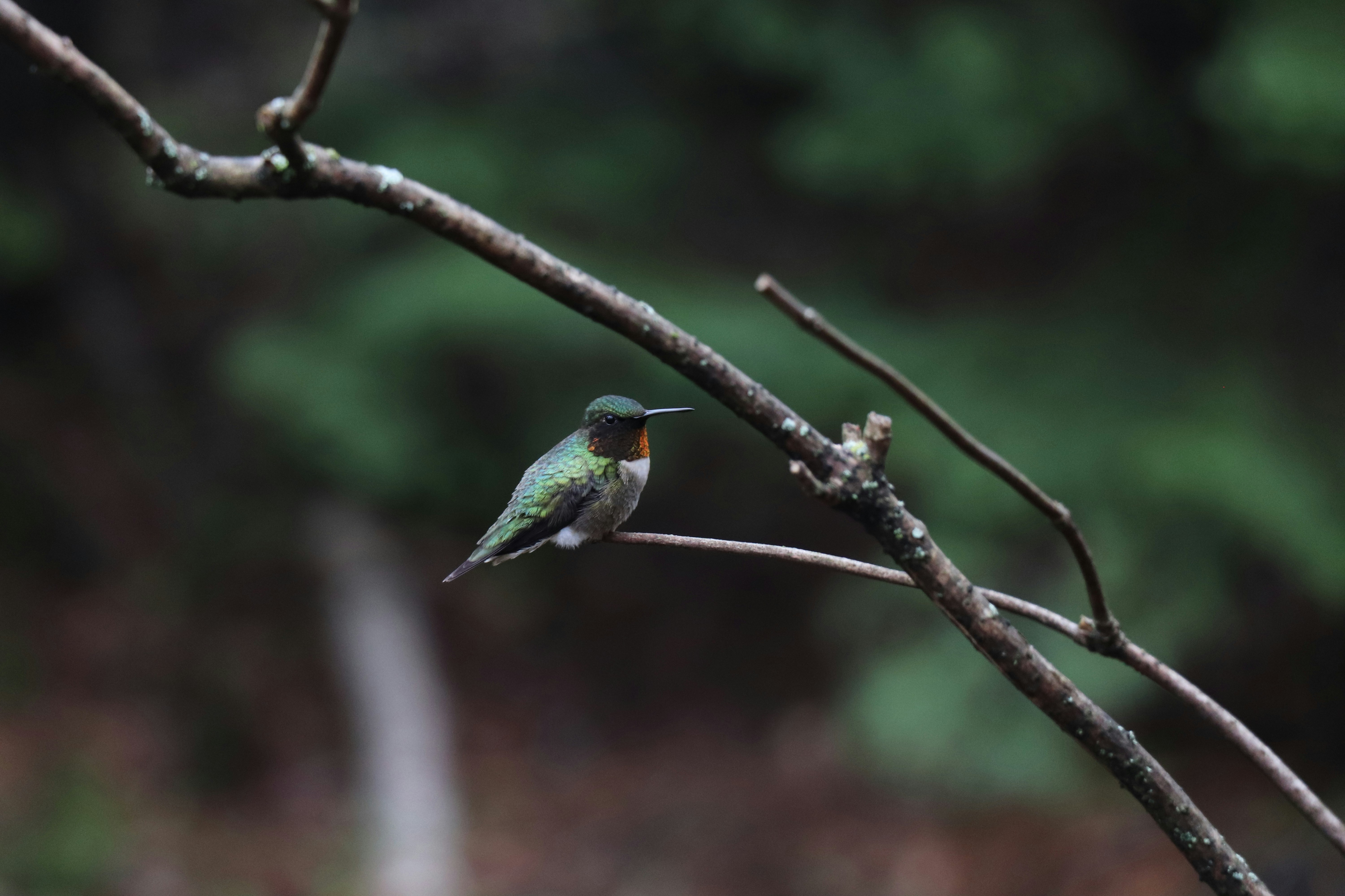 Photo by sandimagerart