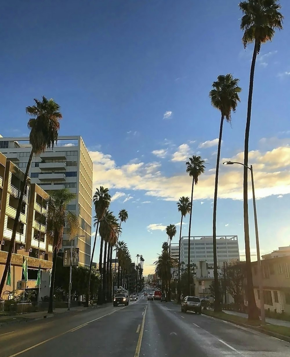 Una calle bordeada de palmeras y edificios altos
