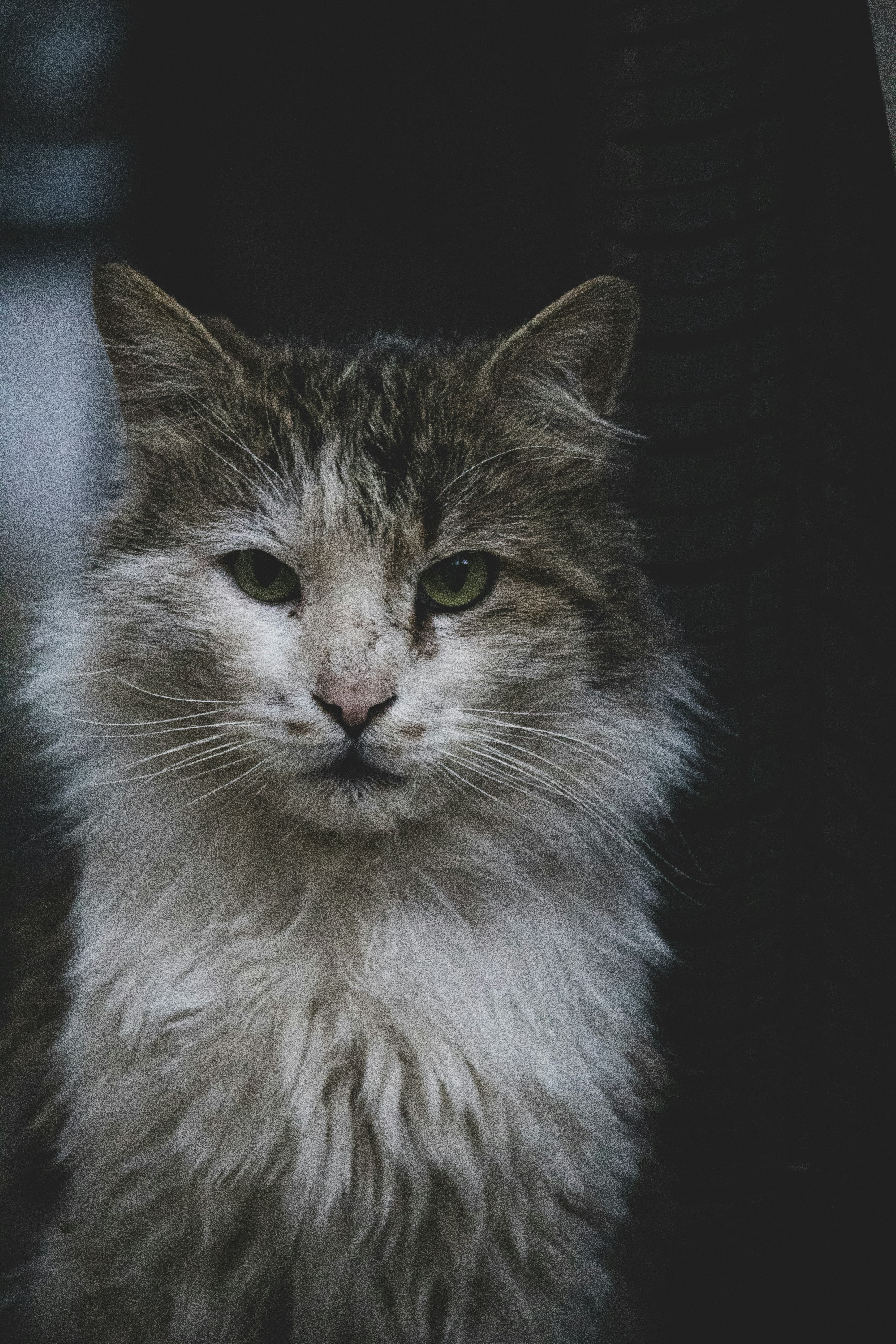 Photo by sinabahar76