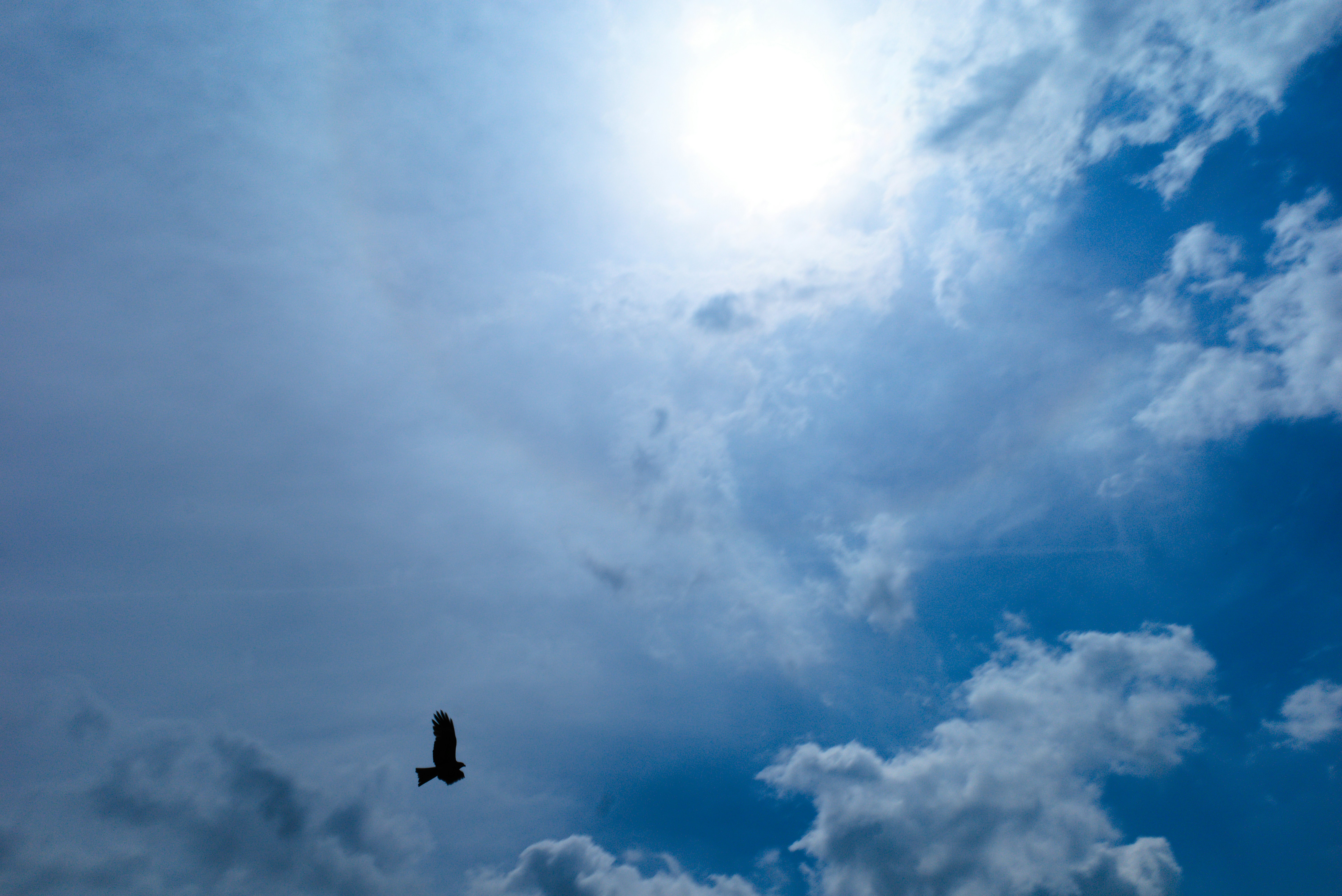 Photo by hotakasaito