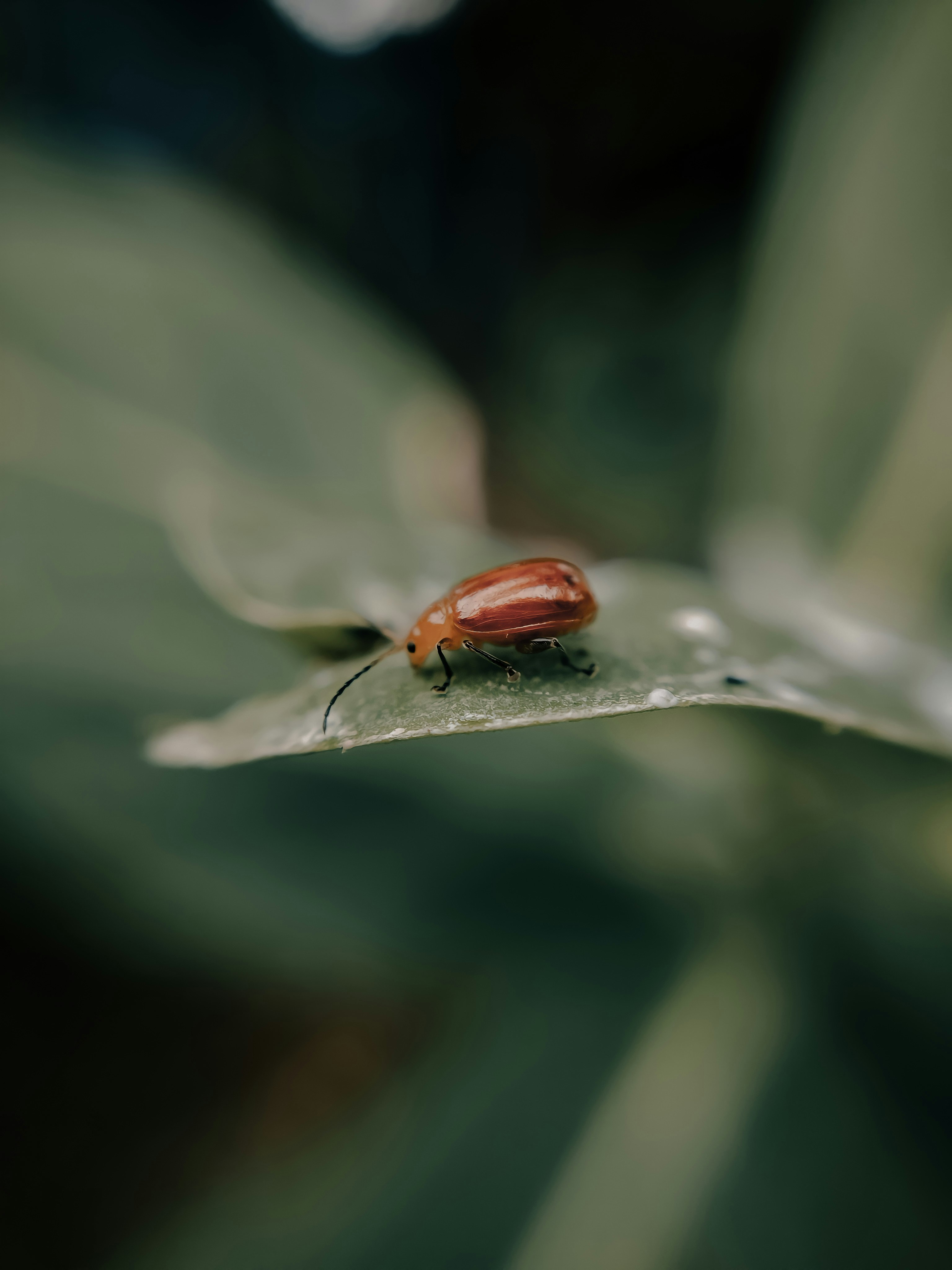 Photo by adwaaithh