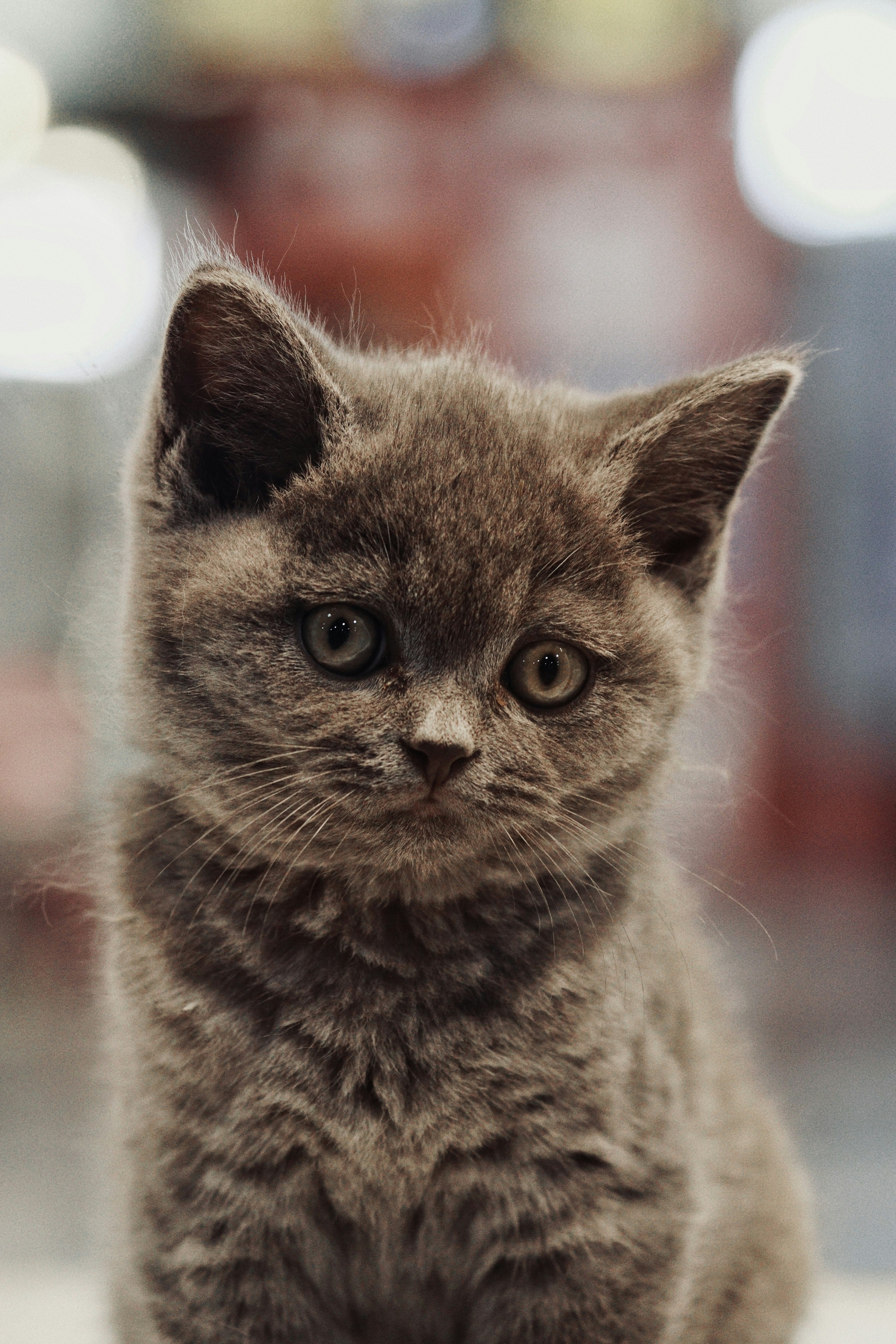 They’re Always in Style (image credits: unsplash)