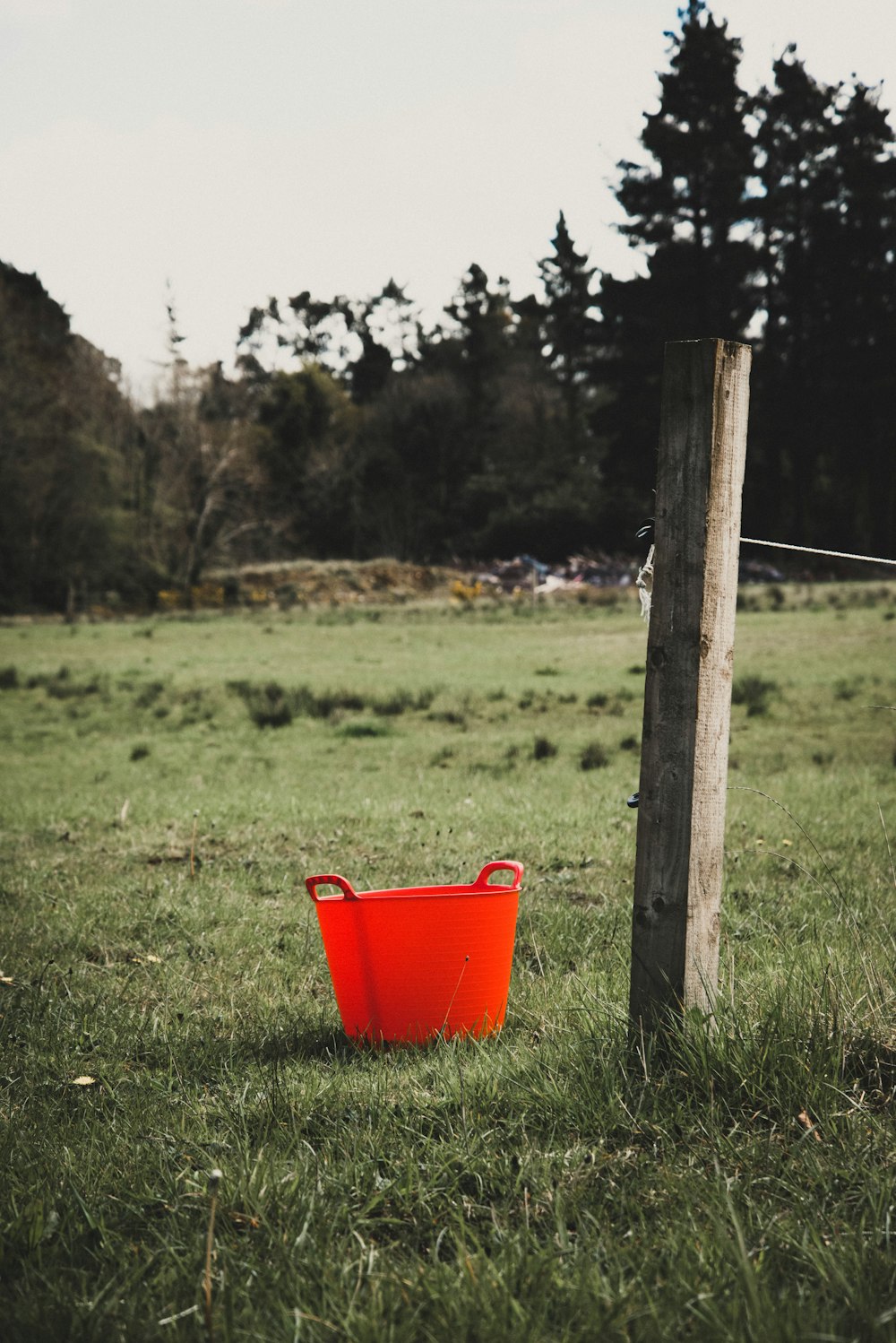 a red bucket sitting on top of a lush green field