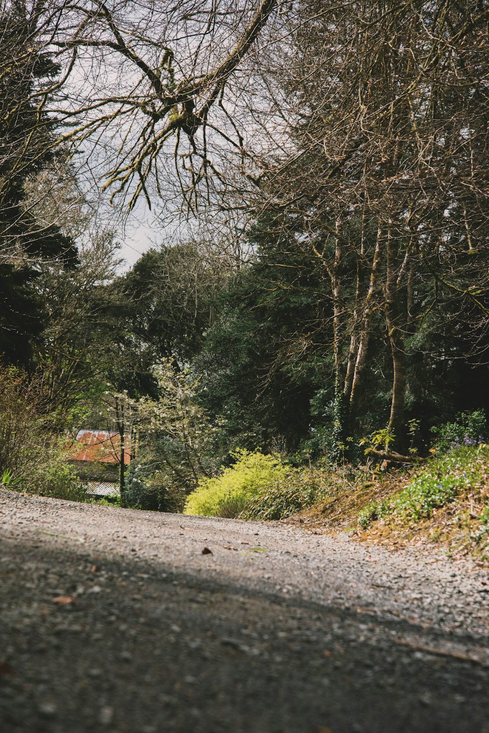 a stop sign on the side of a road