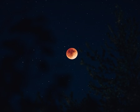 A red moon, likely a blood moon during a lunar eclipse, is set against a dark night sky filled with scattered stars. Silhouettes of tree branches can be seen in the foreground, adding depth and contrast to the scene.