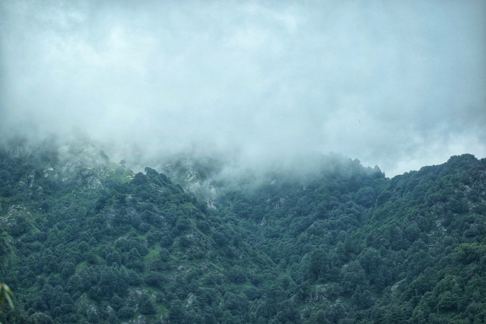 a mountain covered in clouds and trees