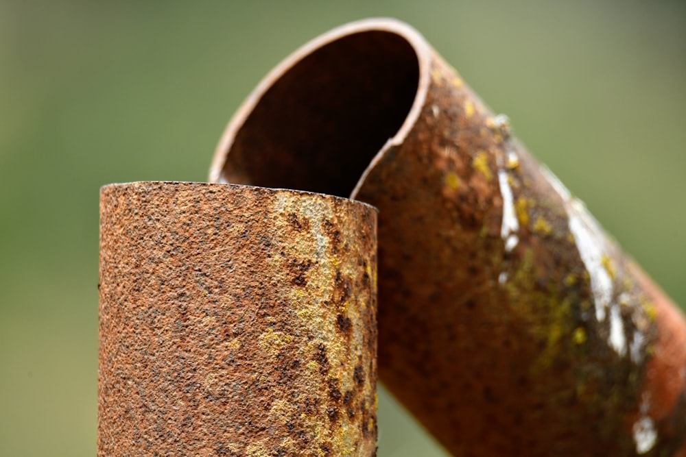 a rusted metal pipe with moss growing on it