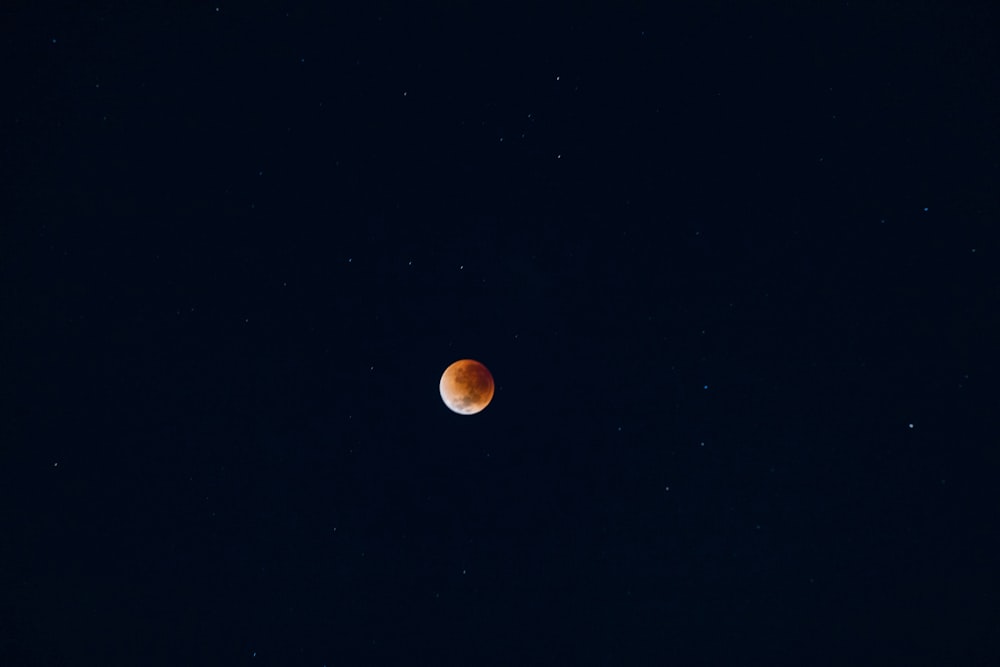 a half moon is seen in the dark sky