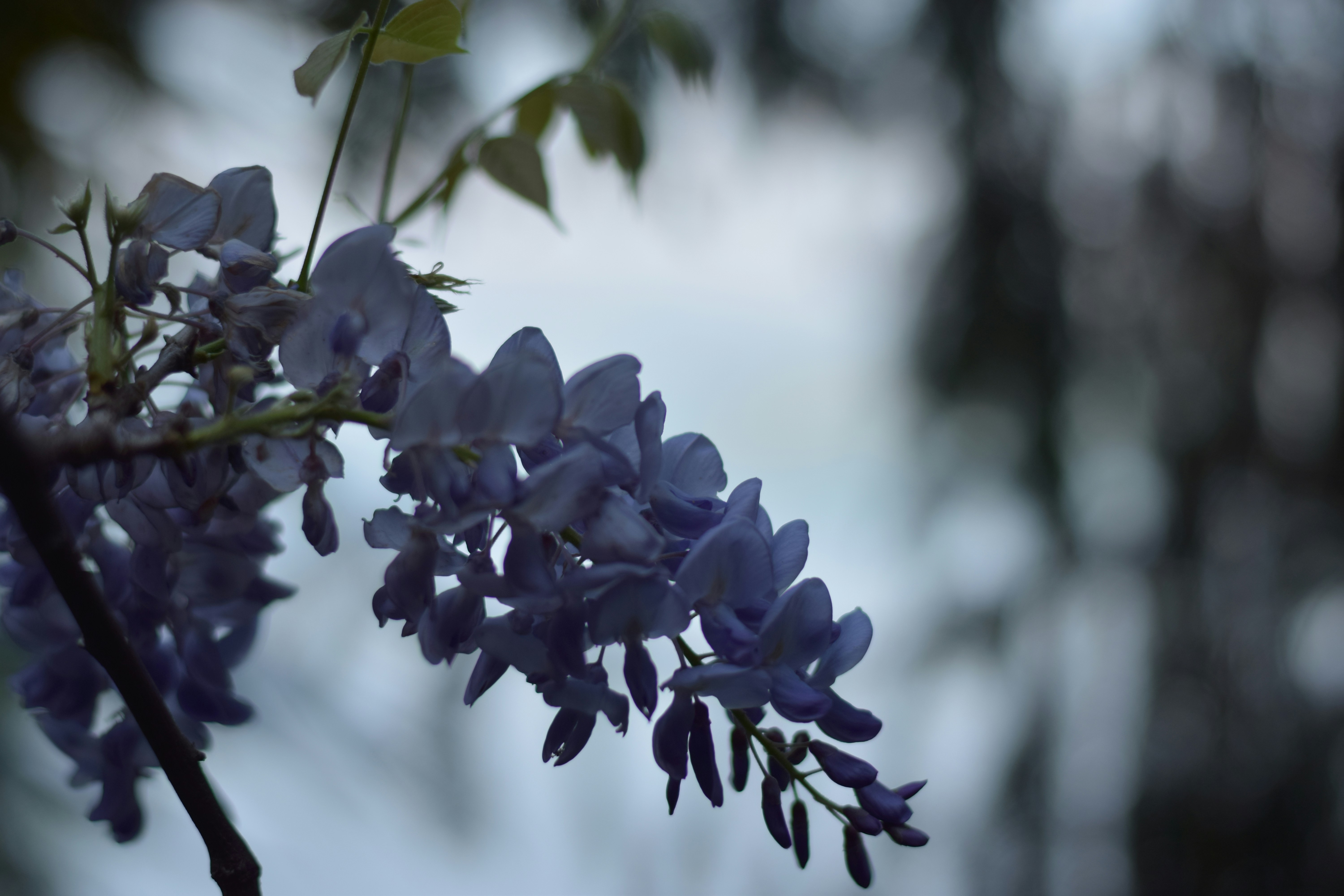 Photo by renaudcfx