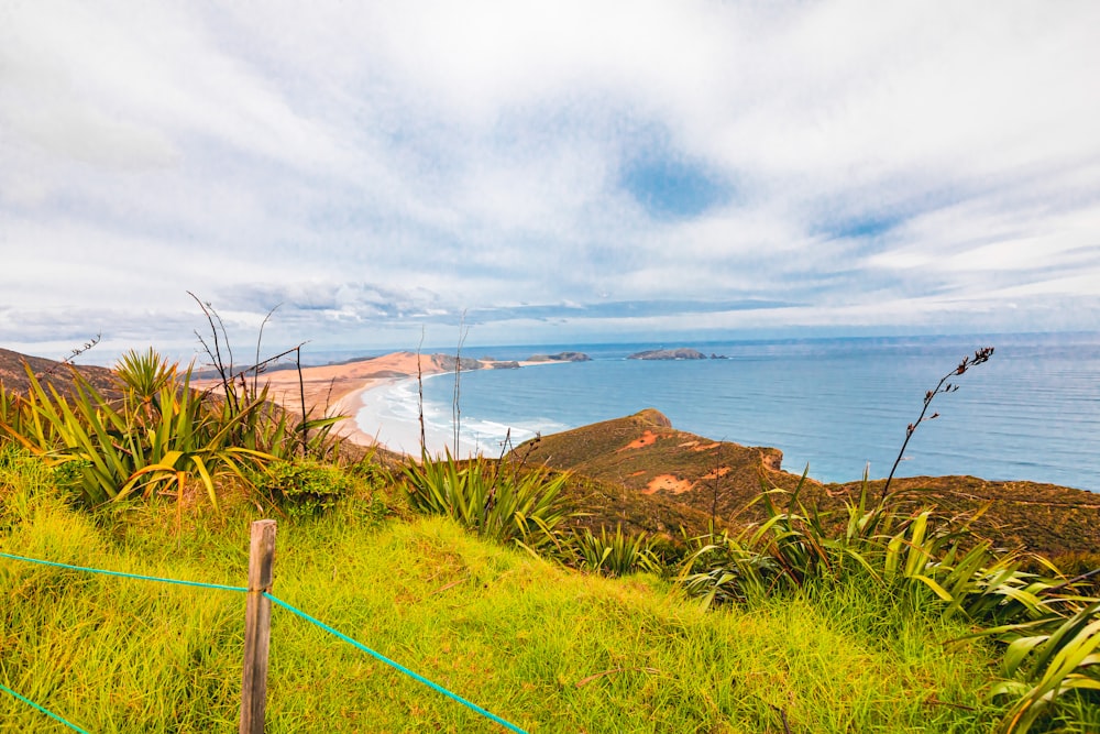 a lush green hillside next to the ocean