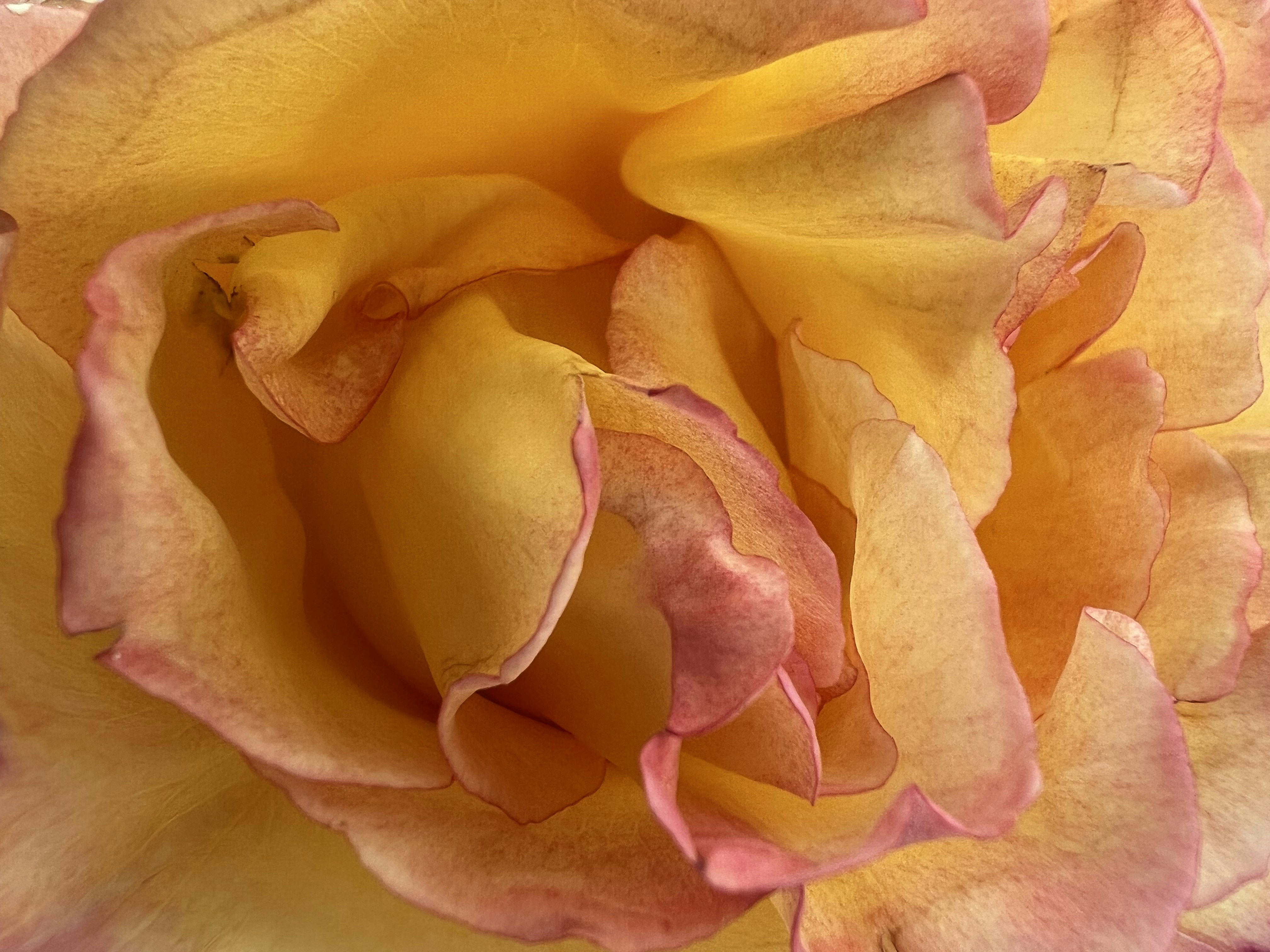 Photo by annamaria17