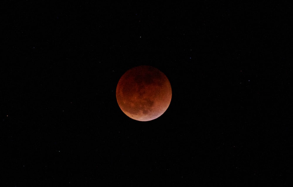 a blood moon is seen in the dark sky