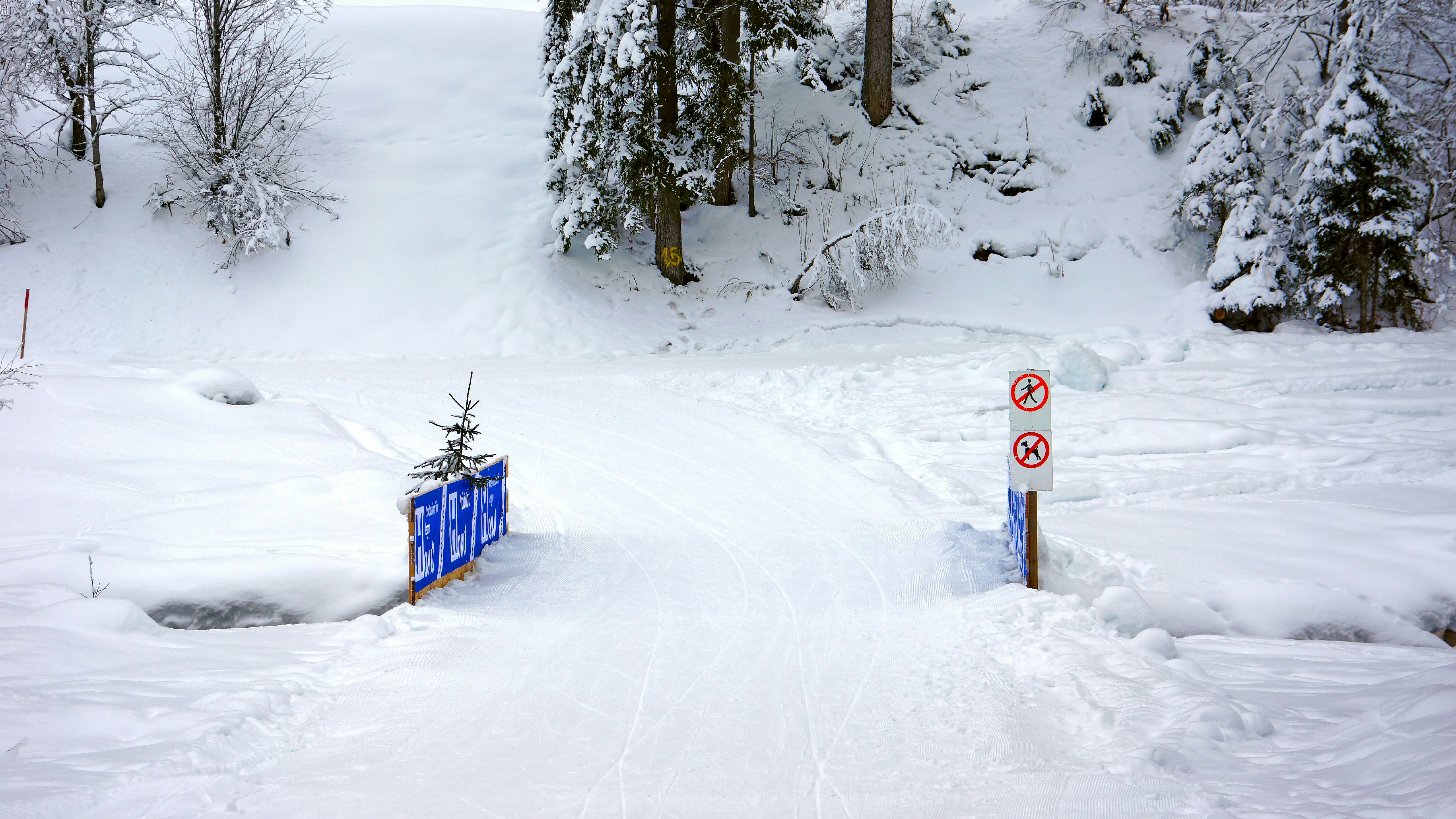 Snow Park Ski Area