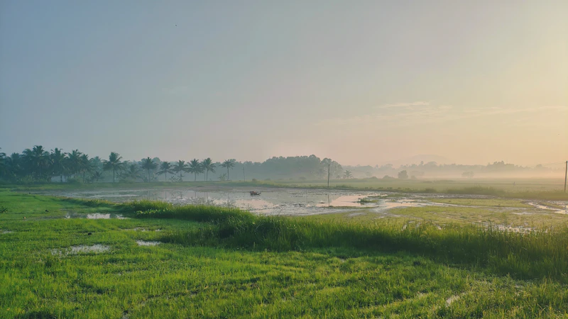 Best Walking Paths and Streets in Thiruvananthapuram to Explore on Foot
