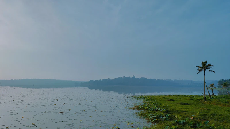 Best Season to Visit Thiruvananthapuram: When to Go, When to Skip, and Why It Matters