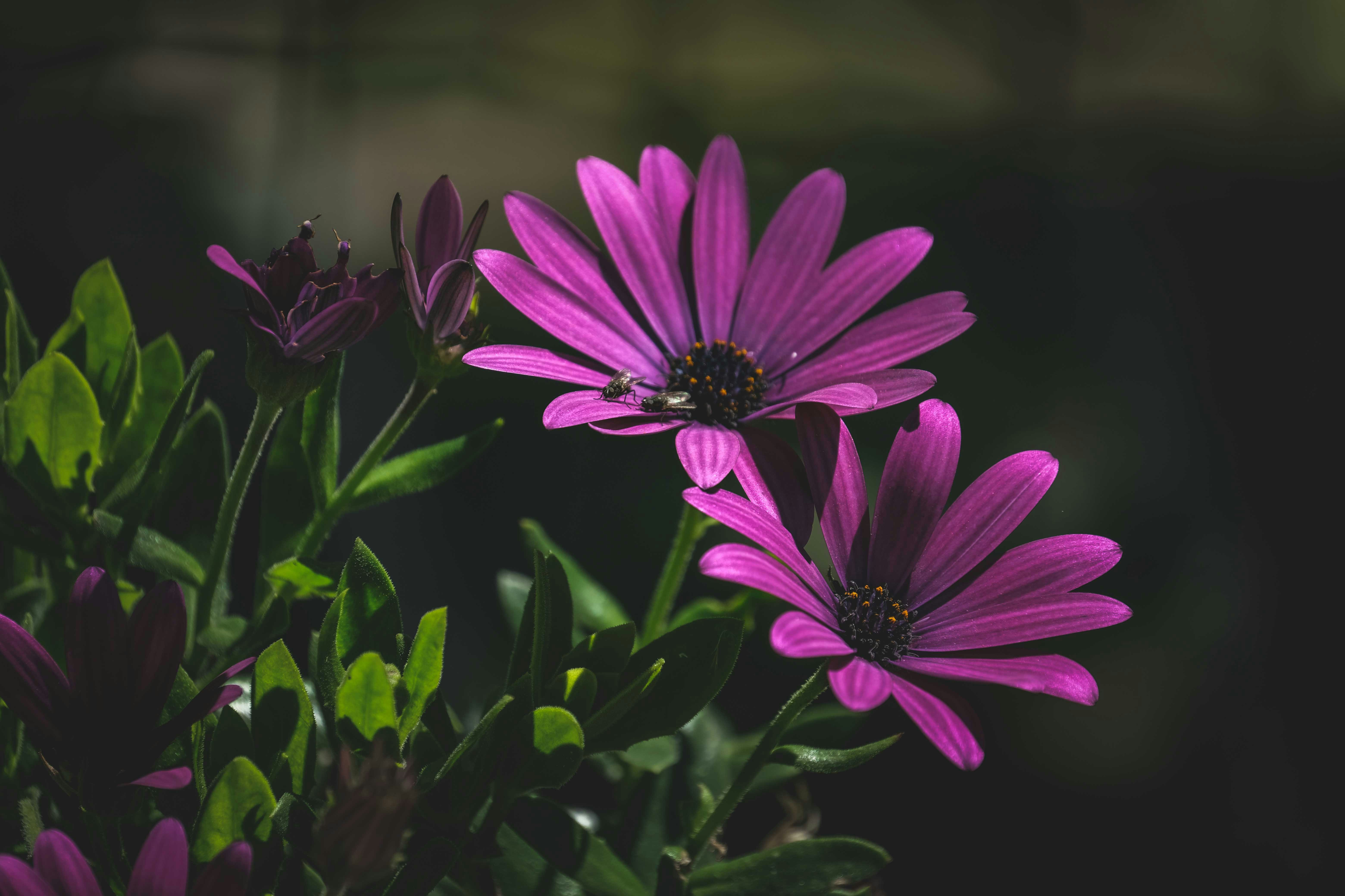 Photo by francesco_ungaro