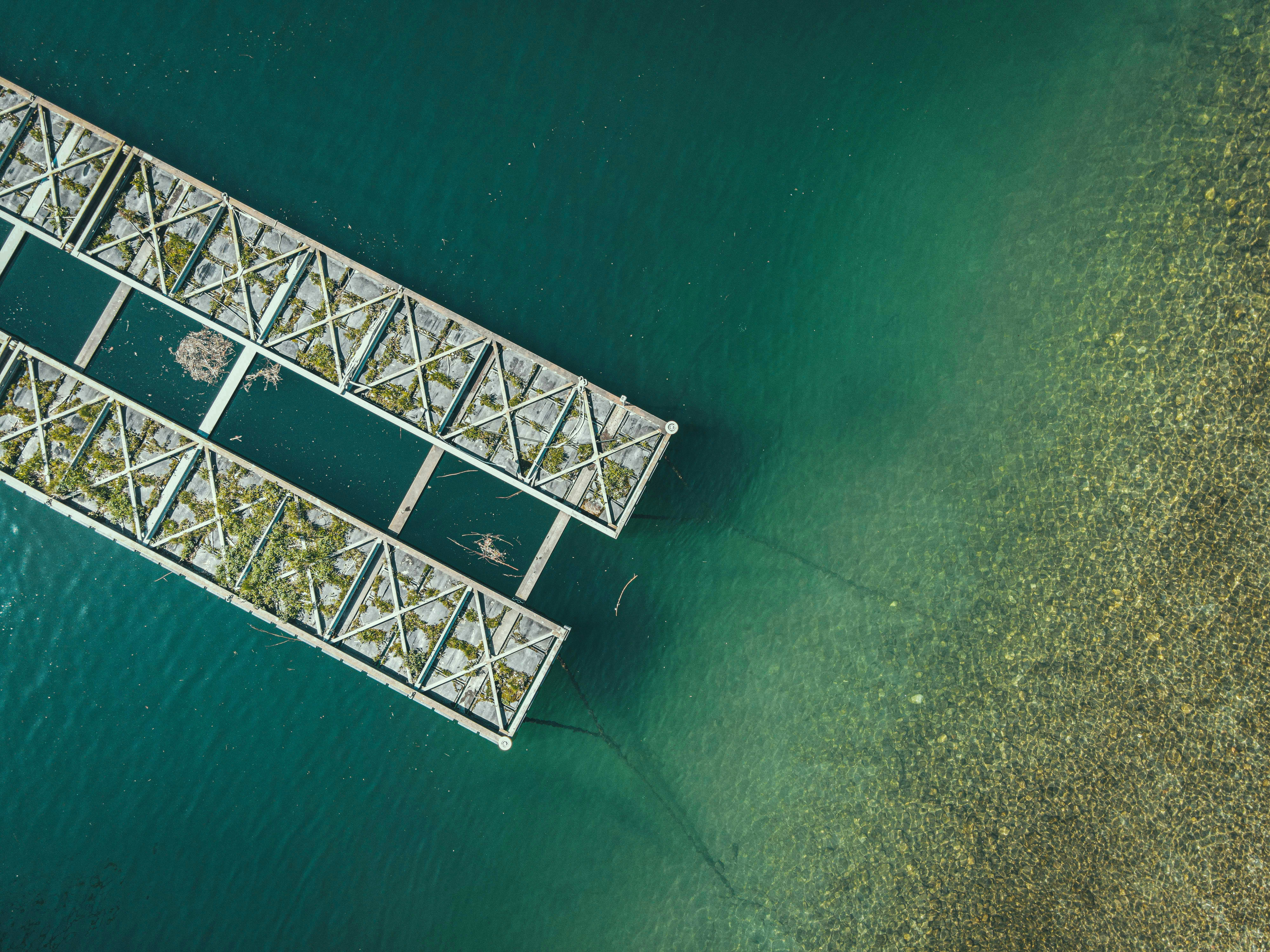 Photo by francesco_ungaro